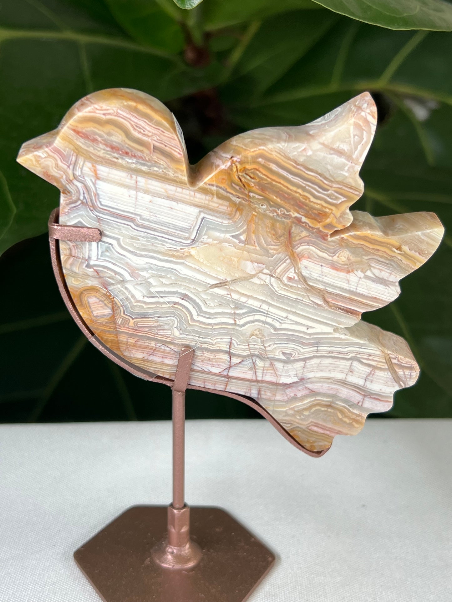 Crazy Lace Agate Bird