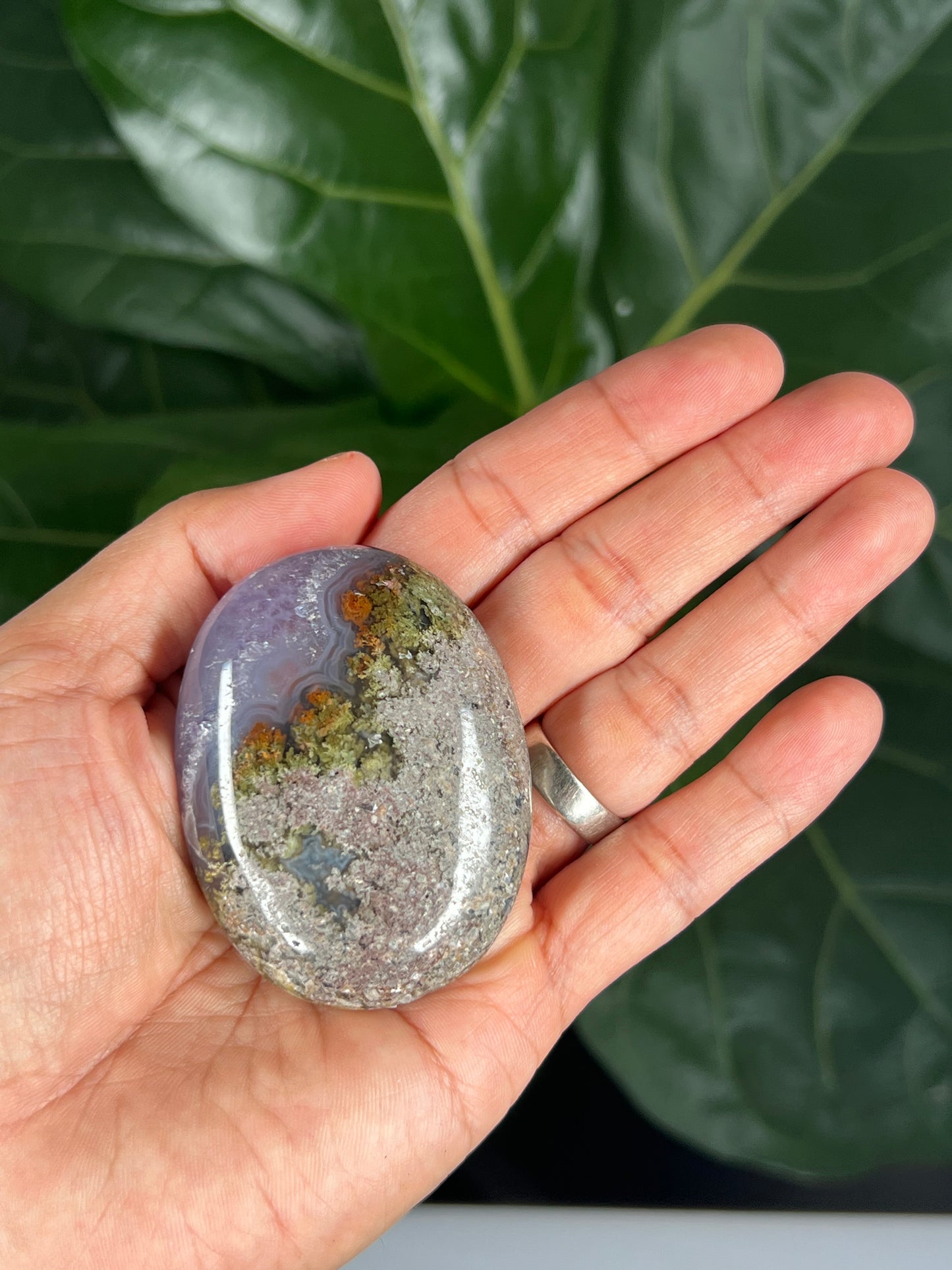 Scenic Moss Agate Palmstone