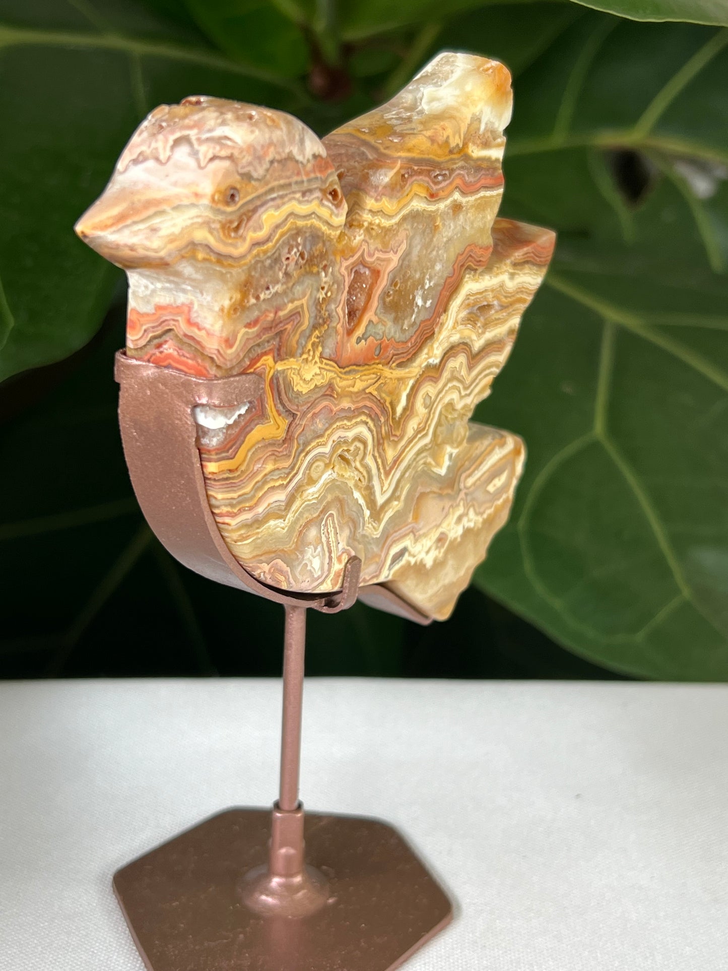 Crazy Lace Agate Bird