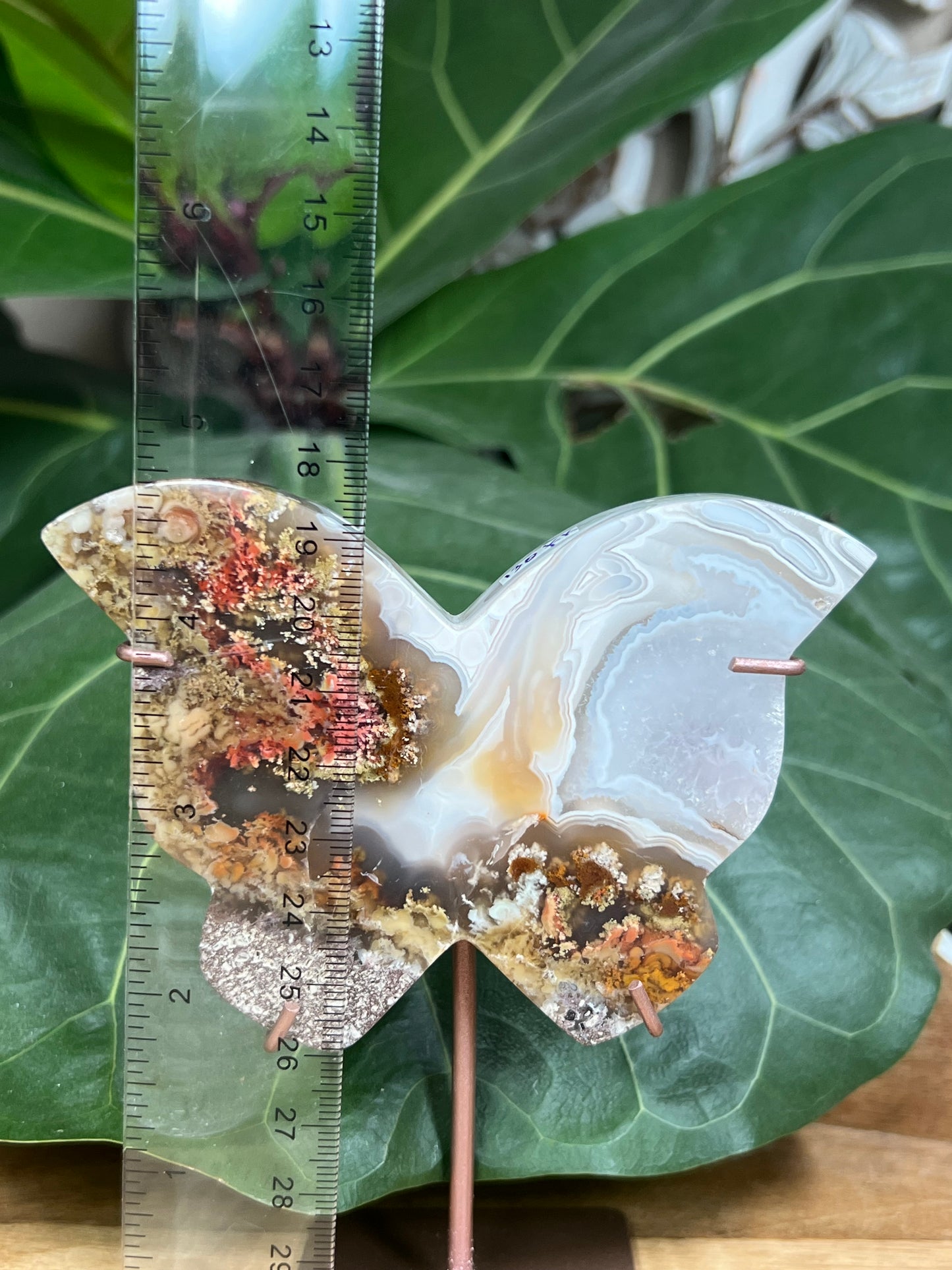 Scenic Moss Agate Butterfly