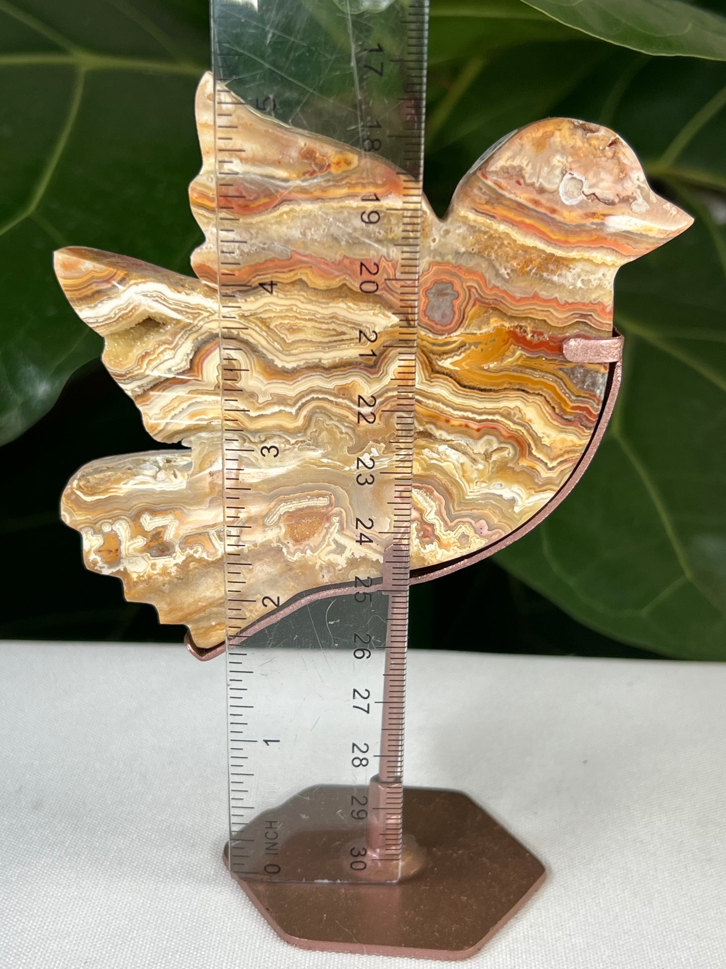 Crazy Lace Agate Bird