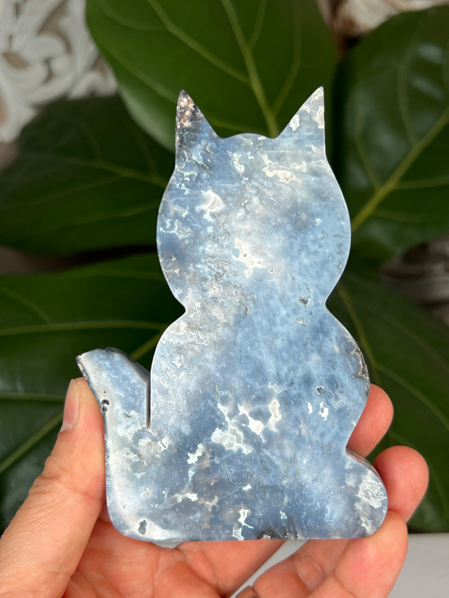 Blue Plume Agate Cat