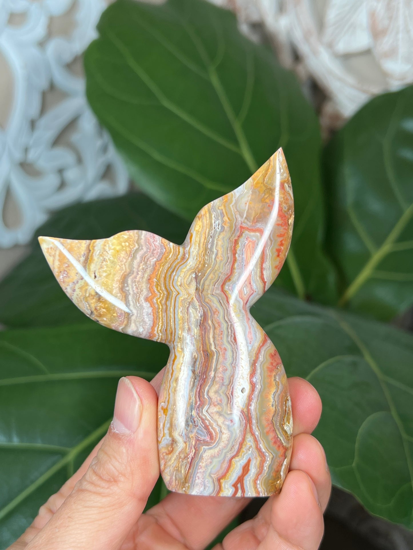 Crazy Lace Agate Mermaid tail