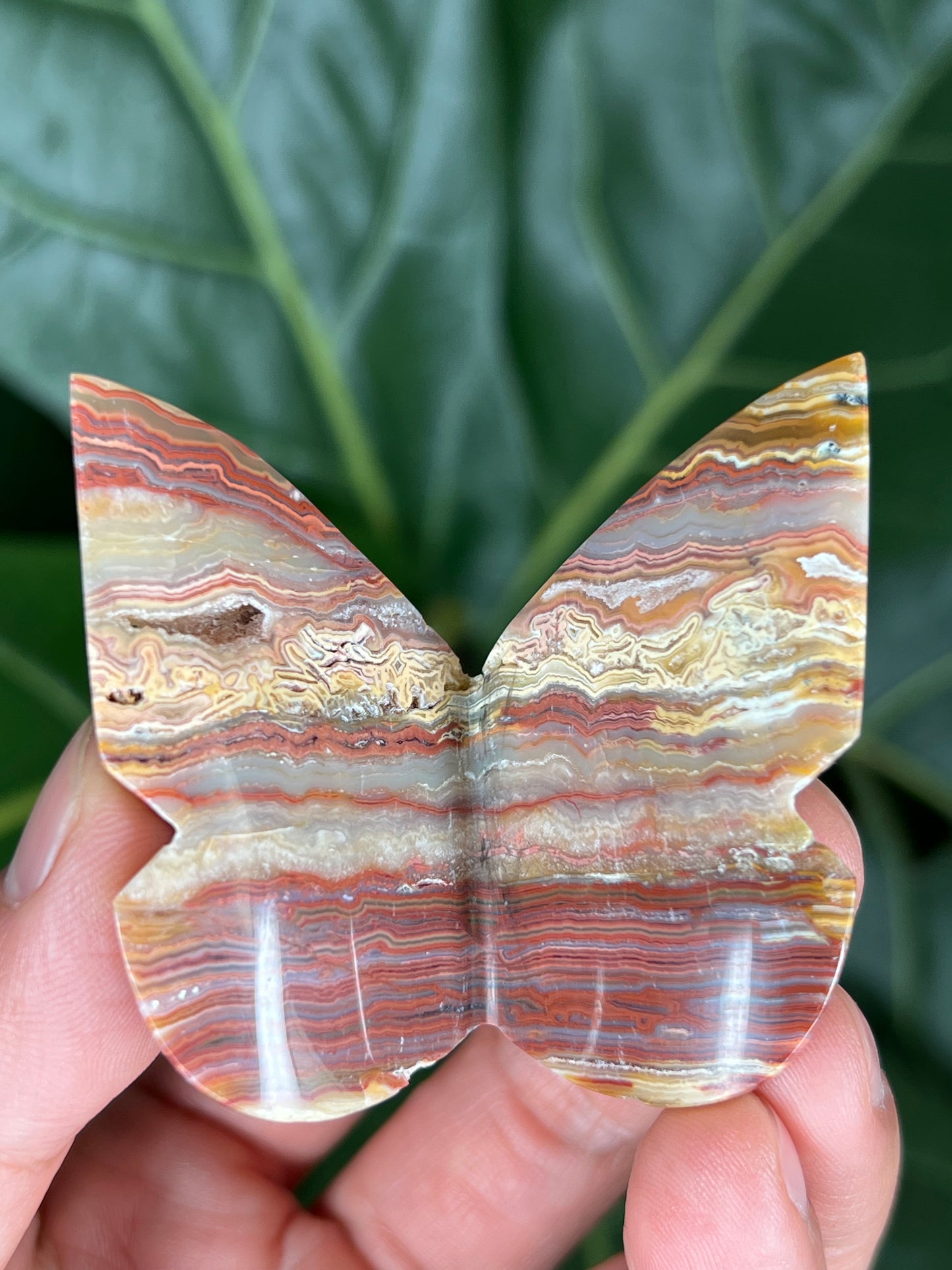 3D Butterfly Crazy Lace Agate