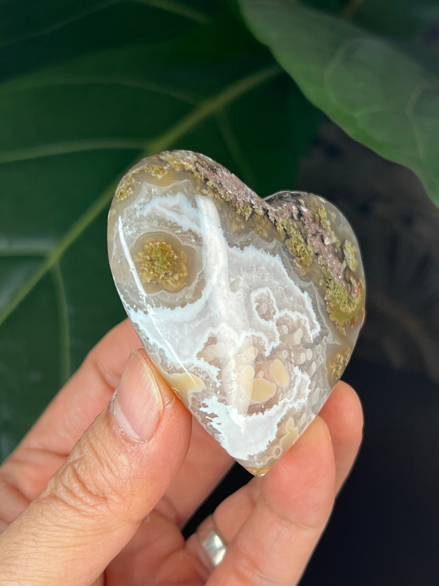 Scenic Moss Agate Heart