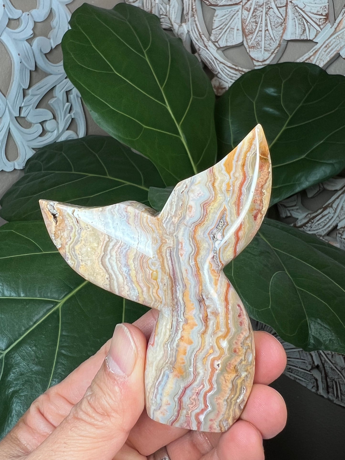 Crazy Lace Agate Mermaid tail