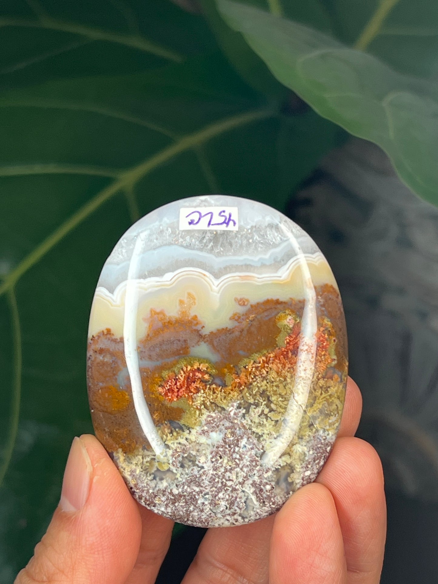 Scenic Moss Agate Palmstone