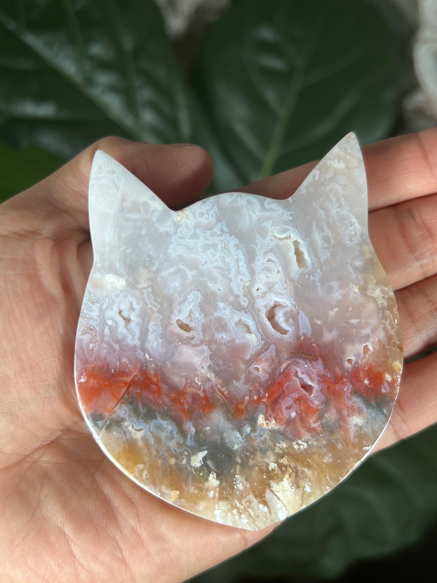 Rainbow Plume Agate Cat