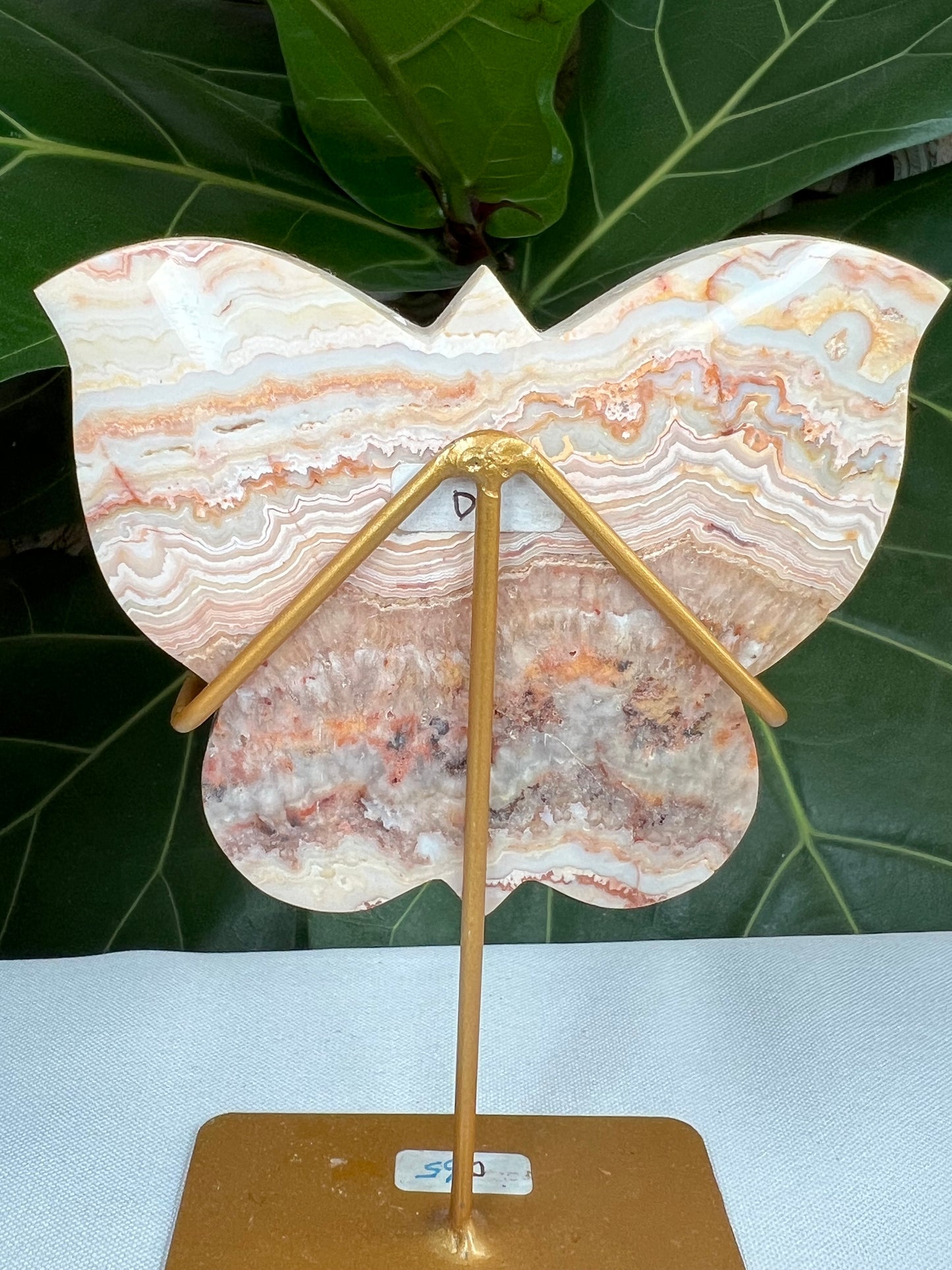 Crazy Lace Agate Butterfly