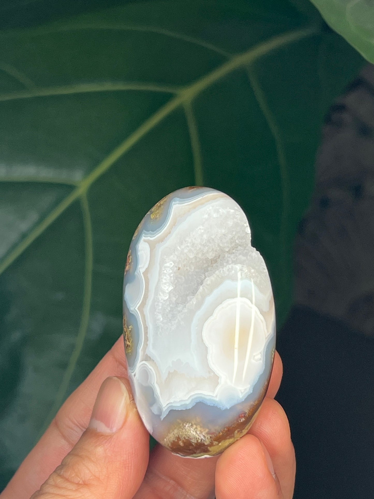 Scenic Moss Agate Palmstone