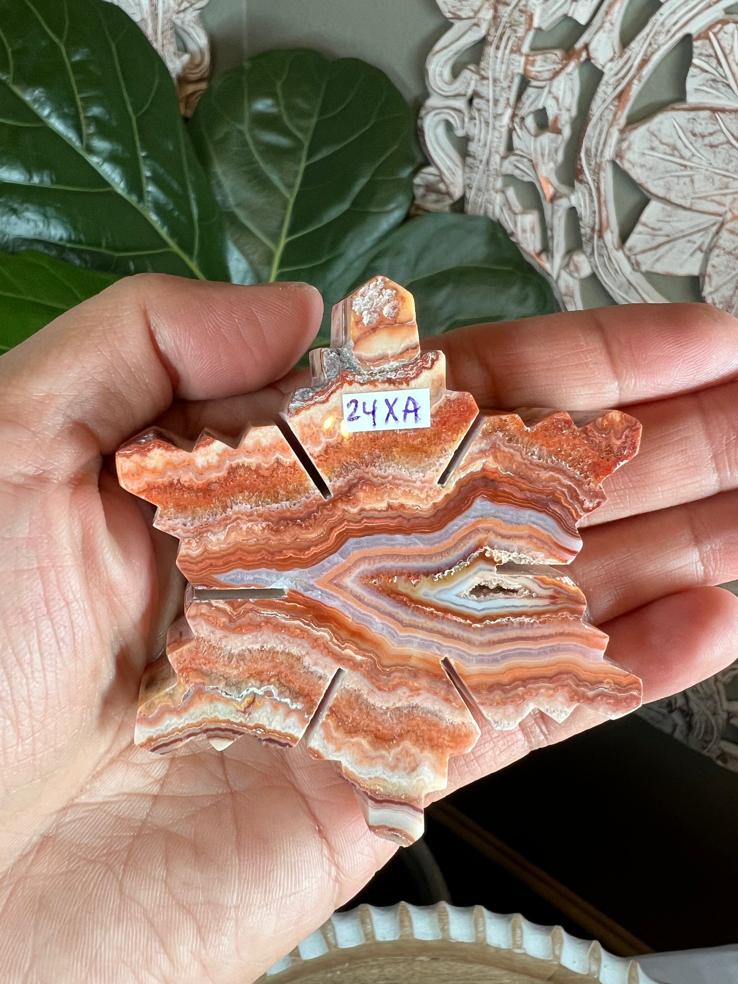 Crazy Lace Agate Snowflake