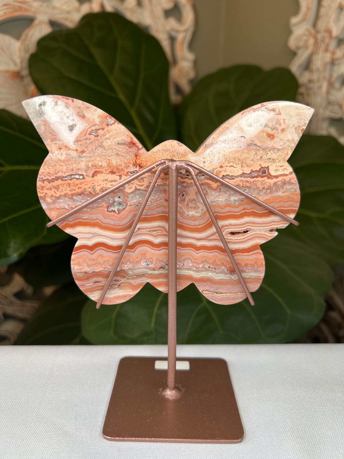 Crazy Lace Agate Butterfly