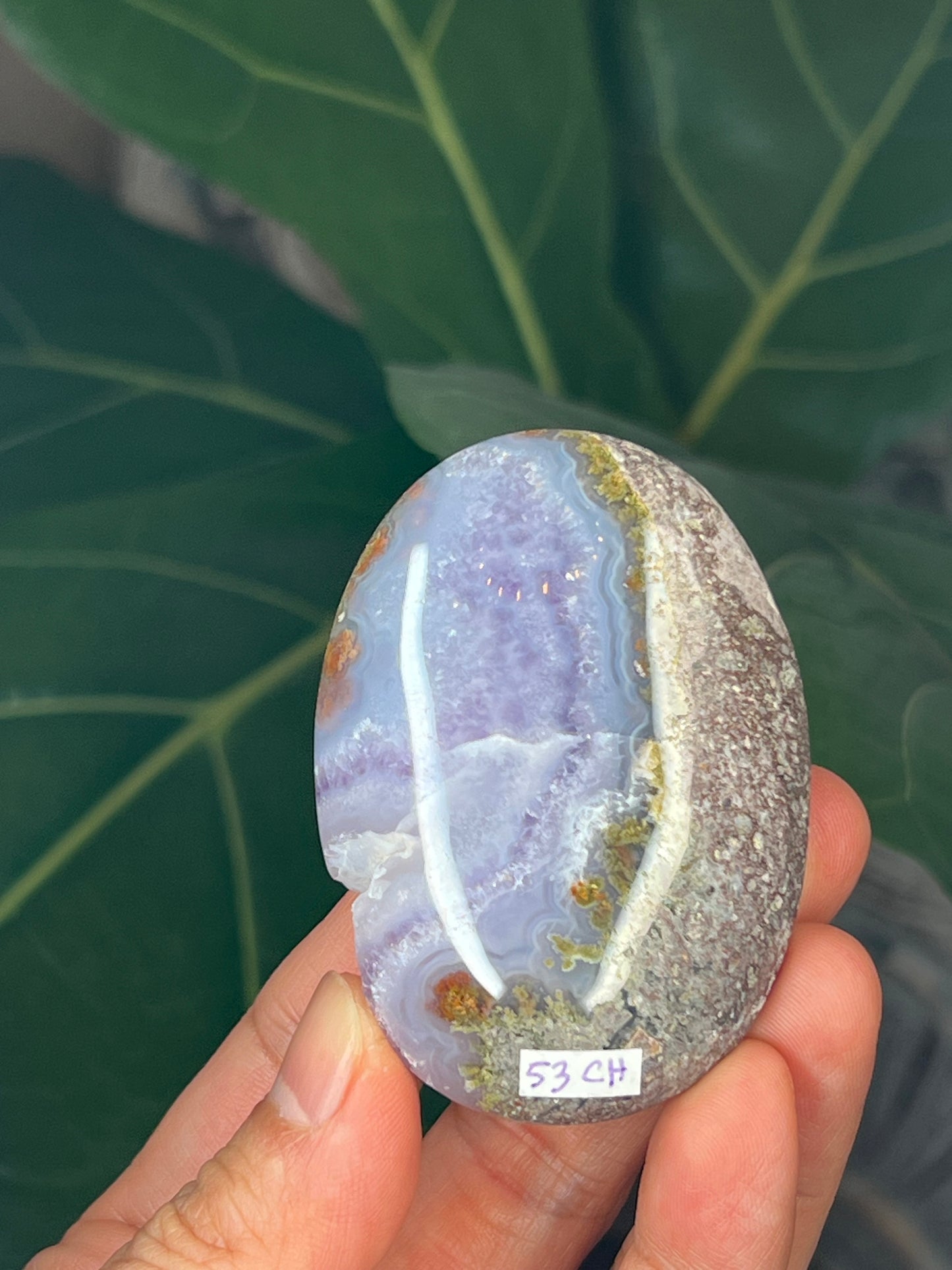 Scenic Moss Agate Palmstone