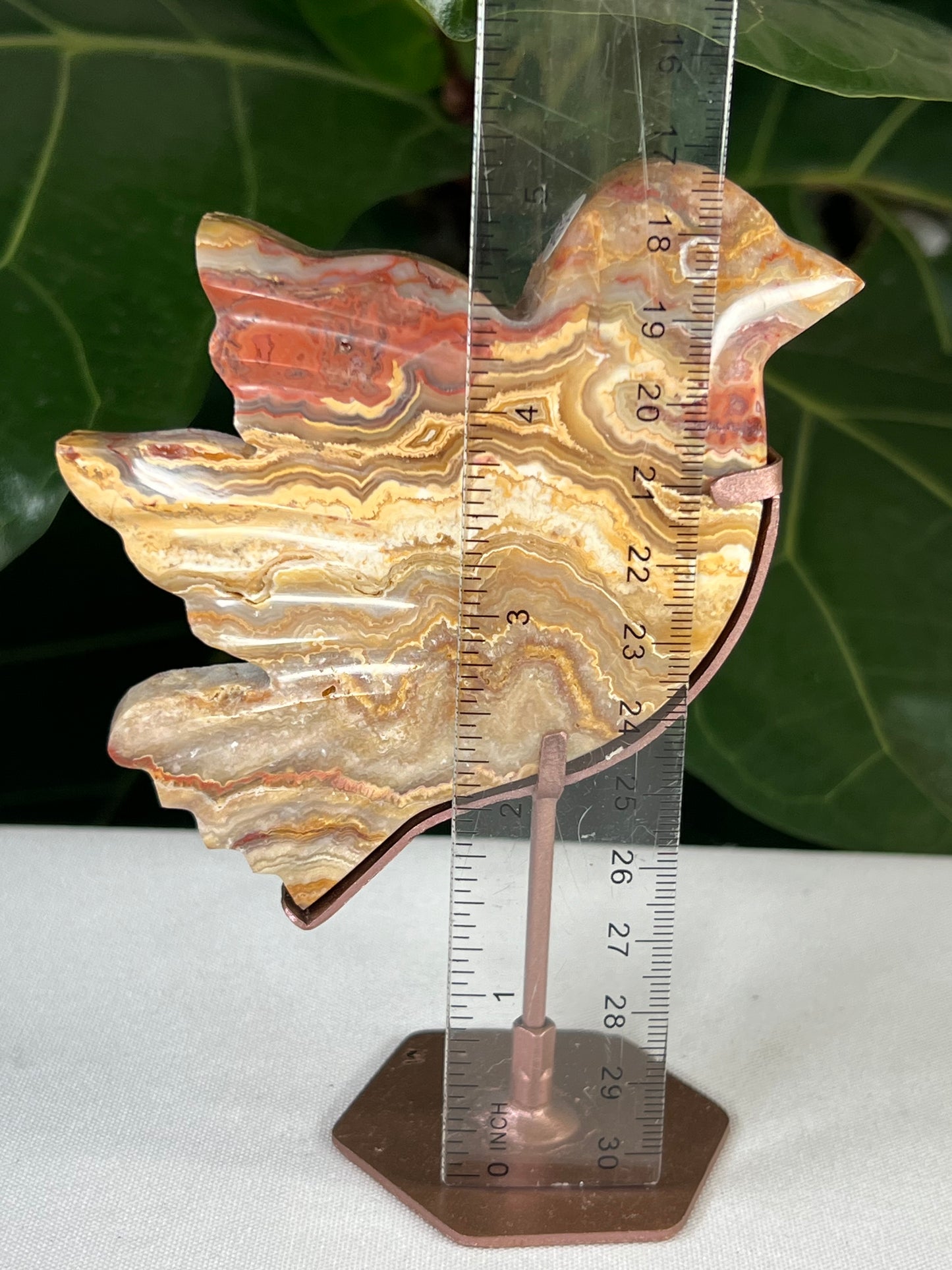 Crazy Lace Agate Bird