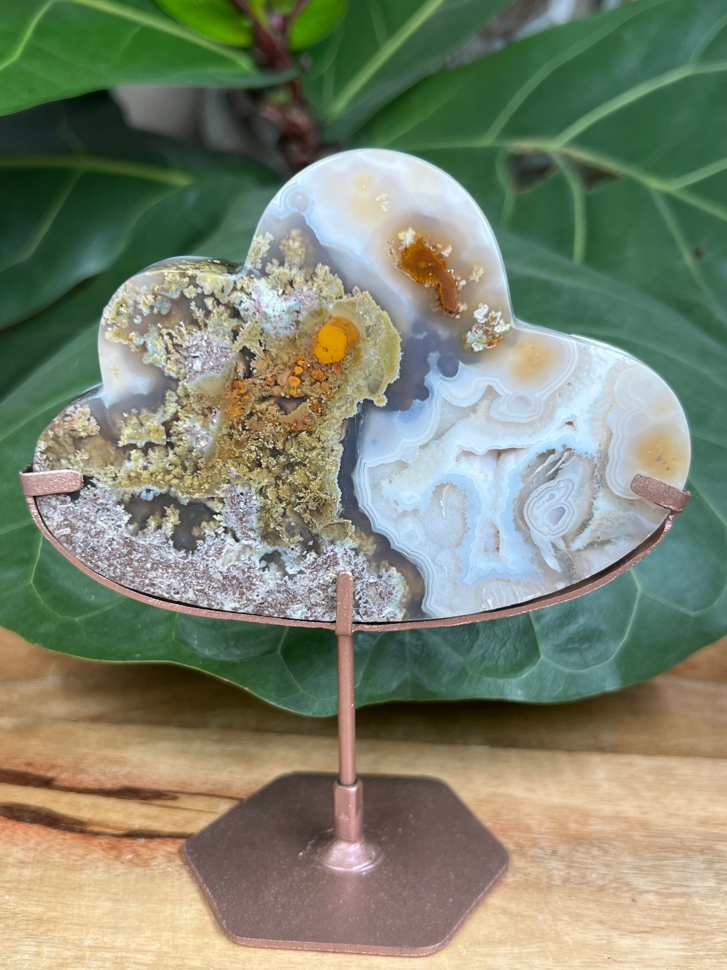 Scenic Moss Agate Cloud