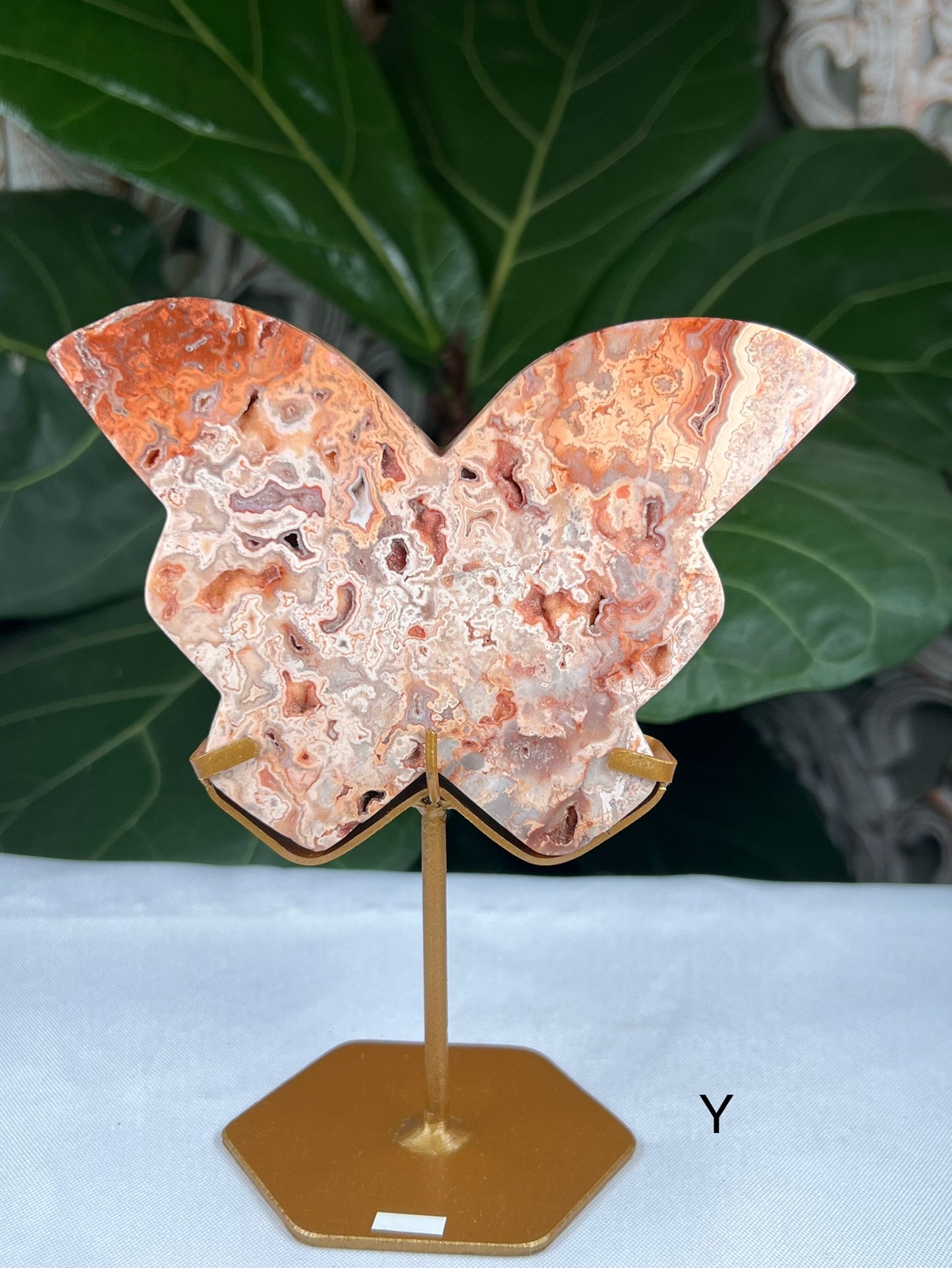 Crazy Lace Agate Butterfly