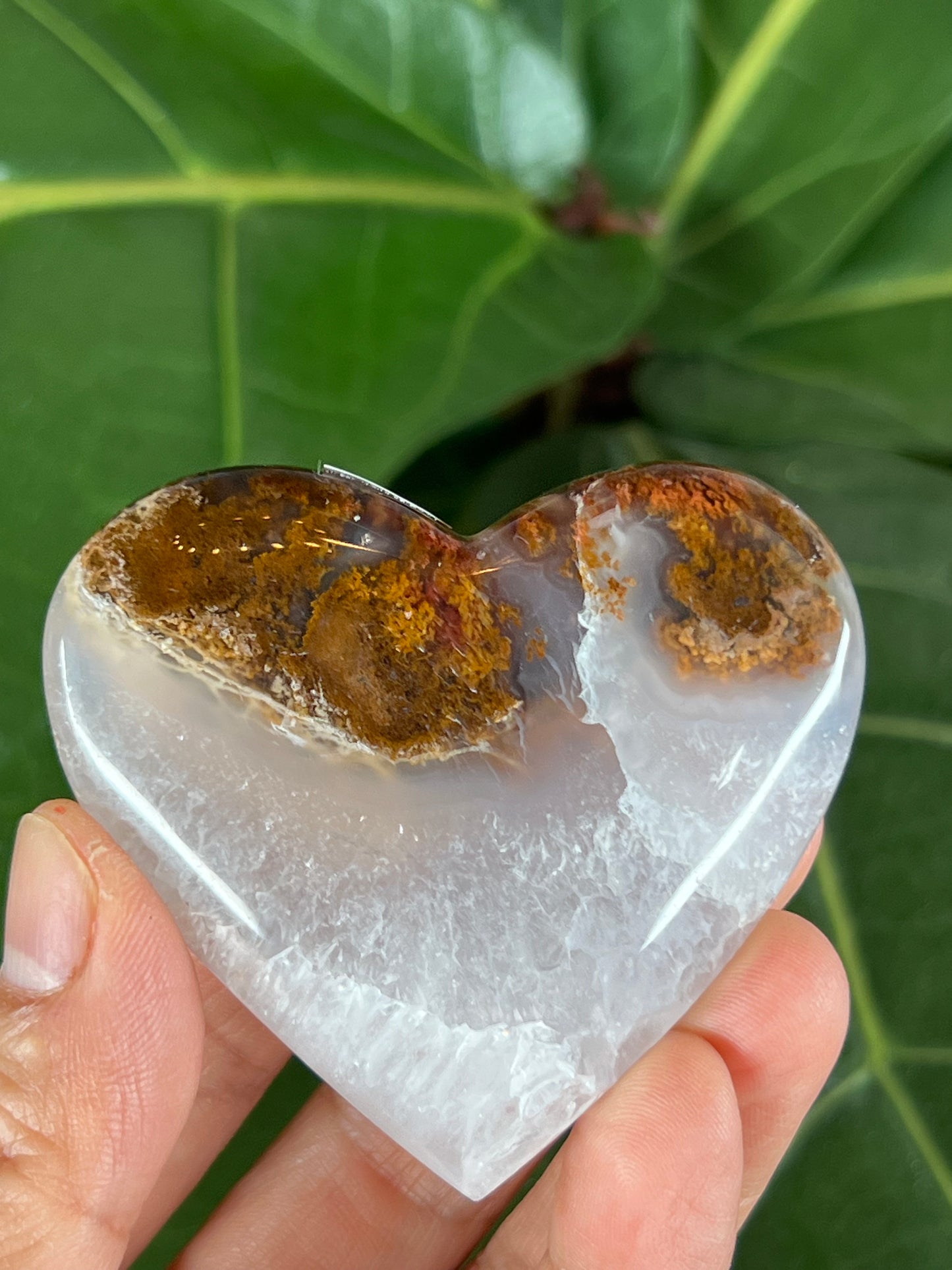 Scenic Moss Agate Heart