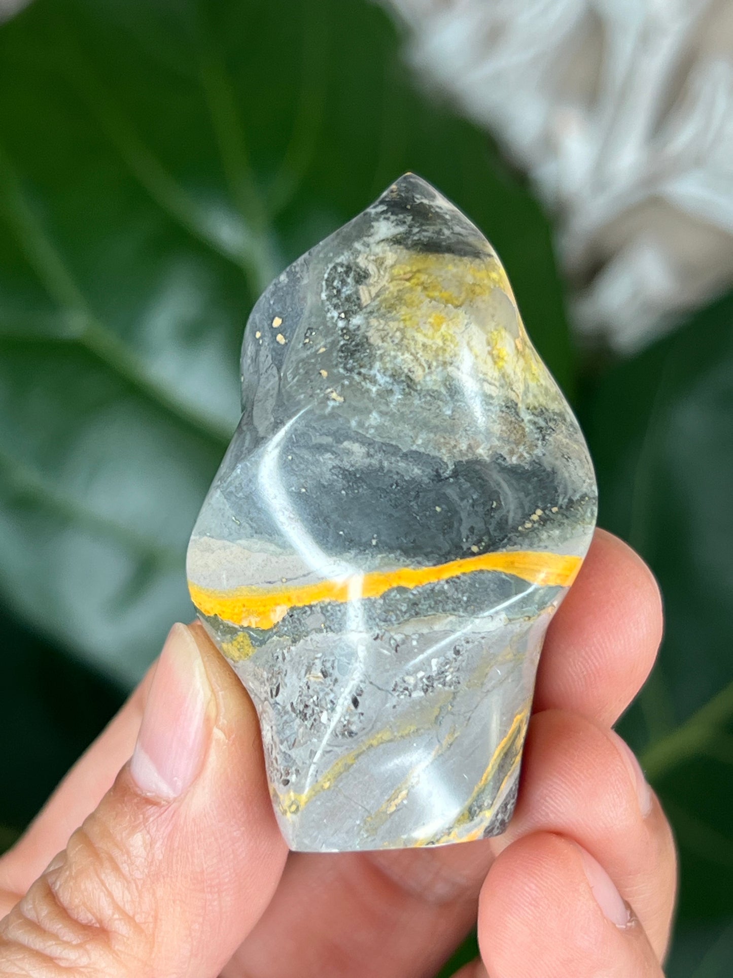 Bumblebee Jasper Flame