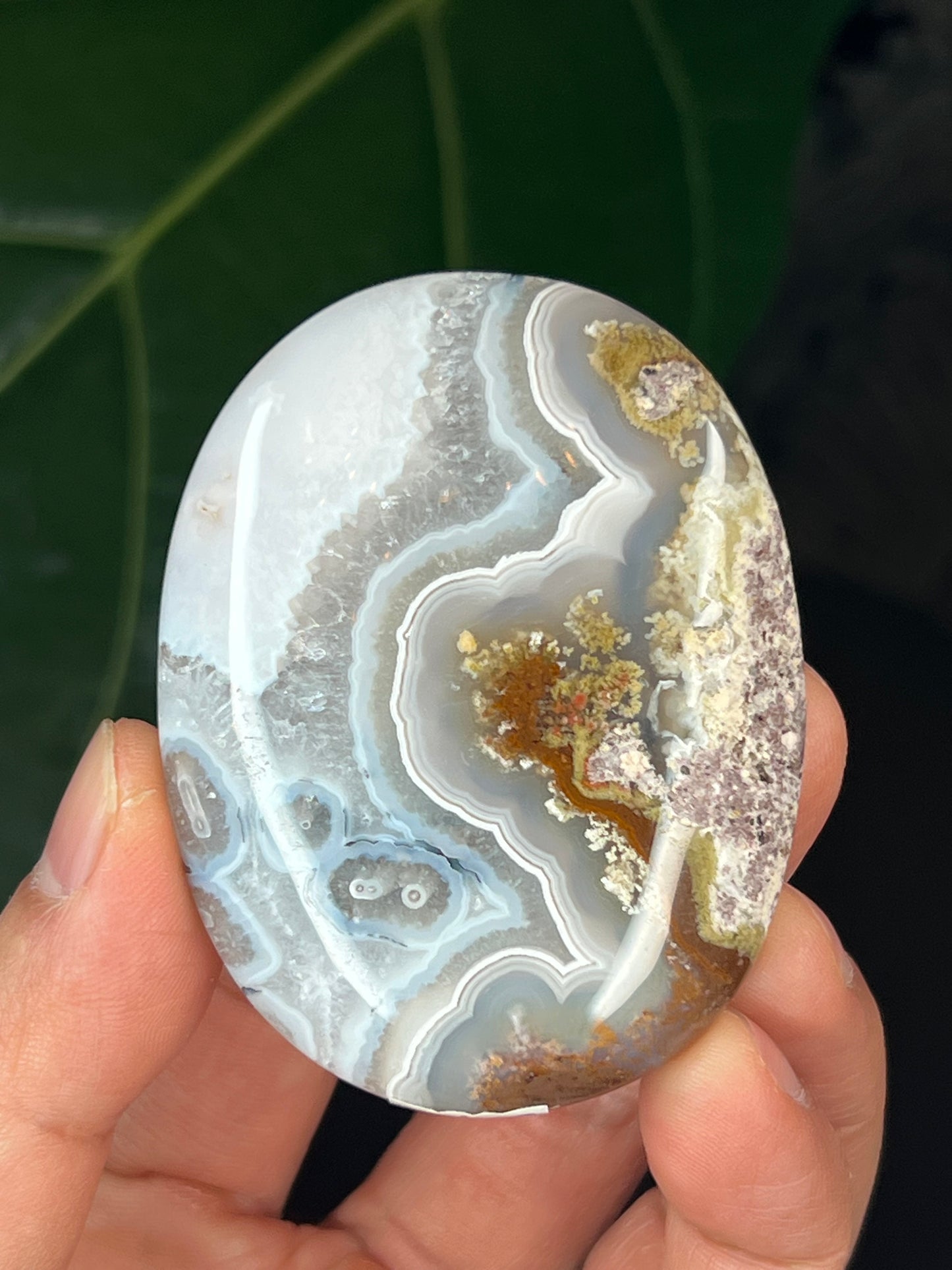 Scenic Moss Agate Palmstone