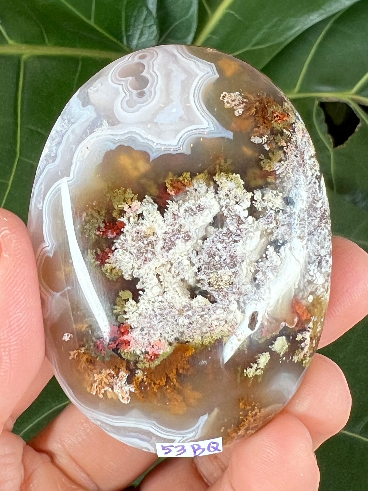 Scenic Moss Agate Palm Stone