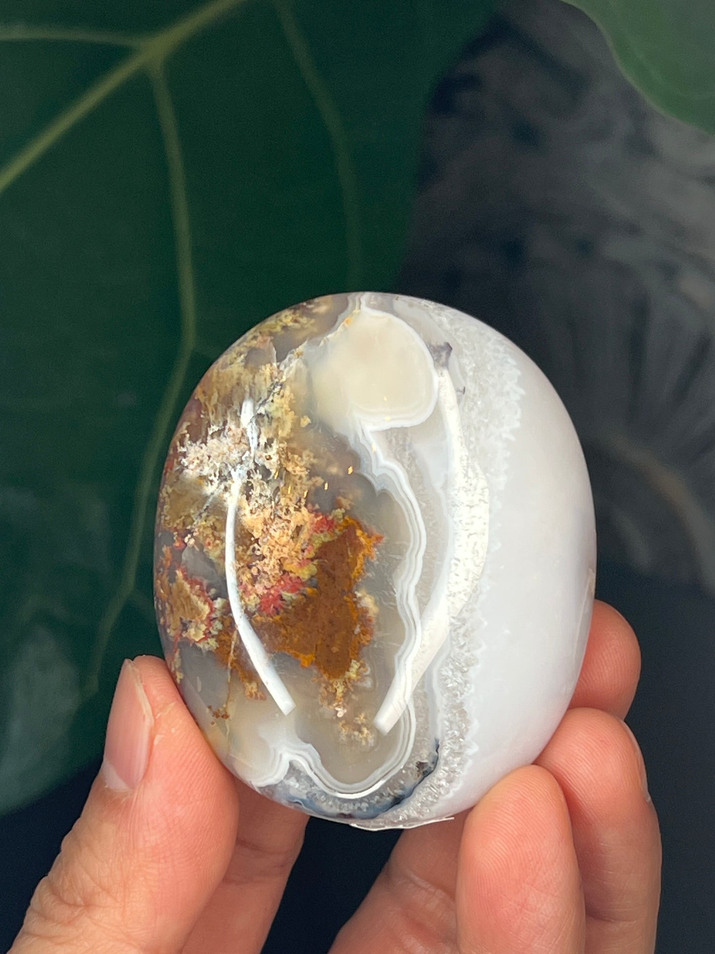 Scenic Moss Agate Palmstone