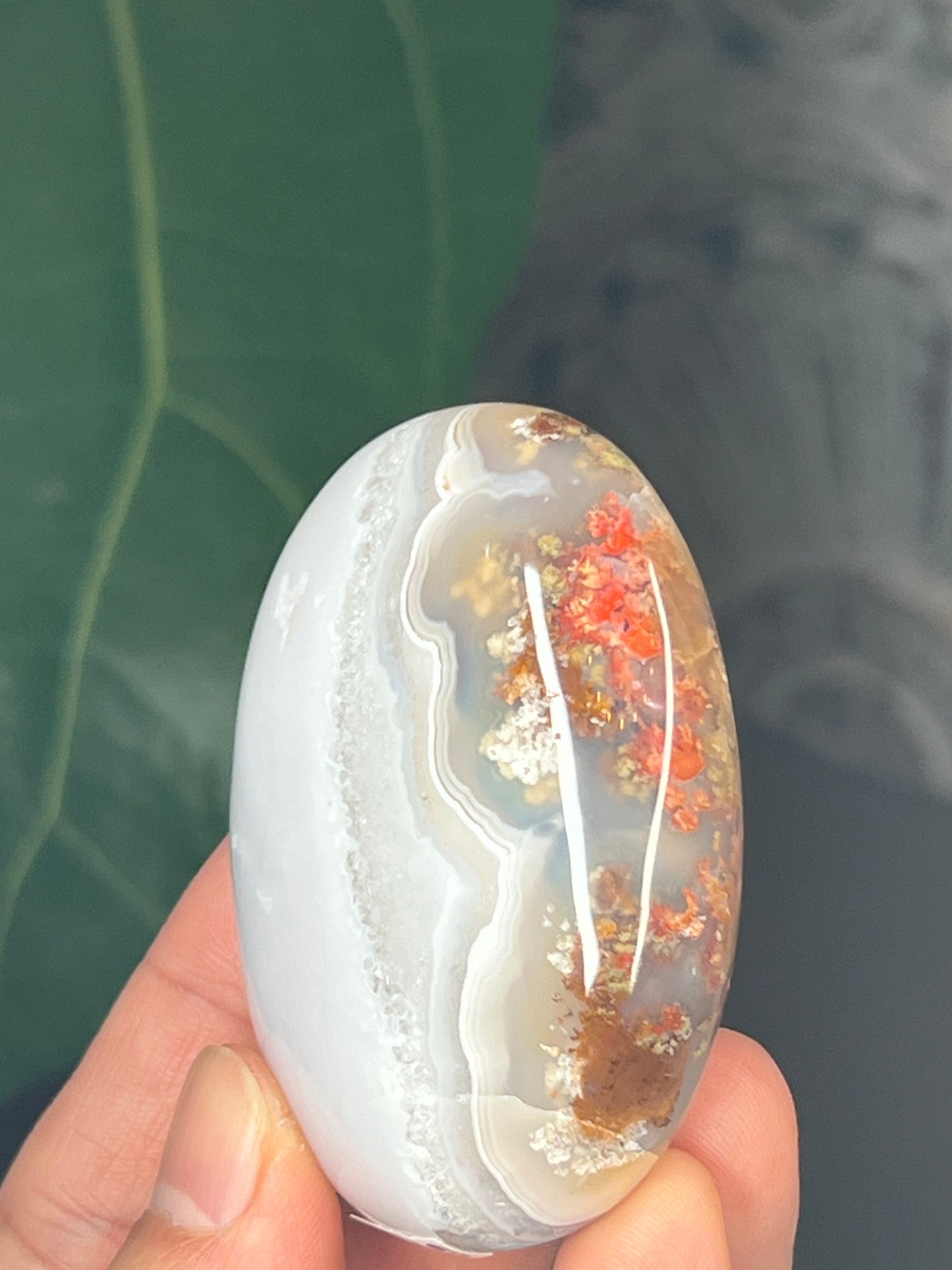 Scenic Moss Agate Palmstone