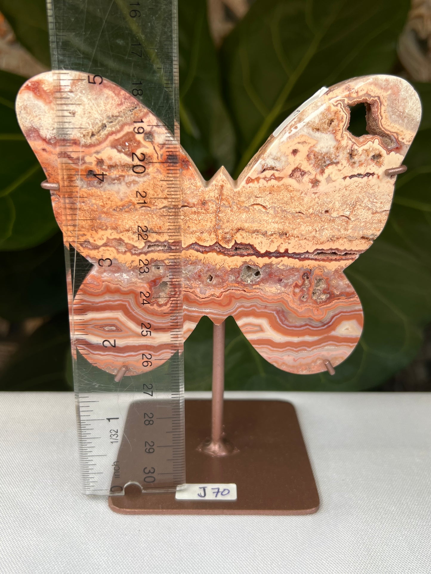 Crazy Lace Agate Butterfly