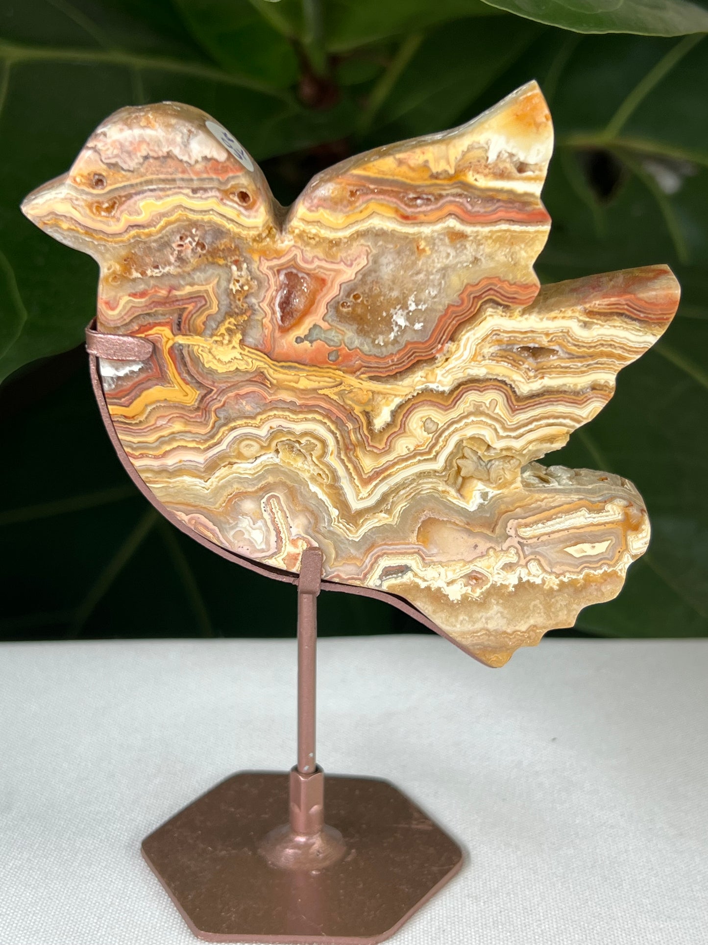 Crazy Lace Agate Bird