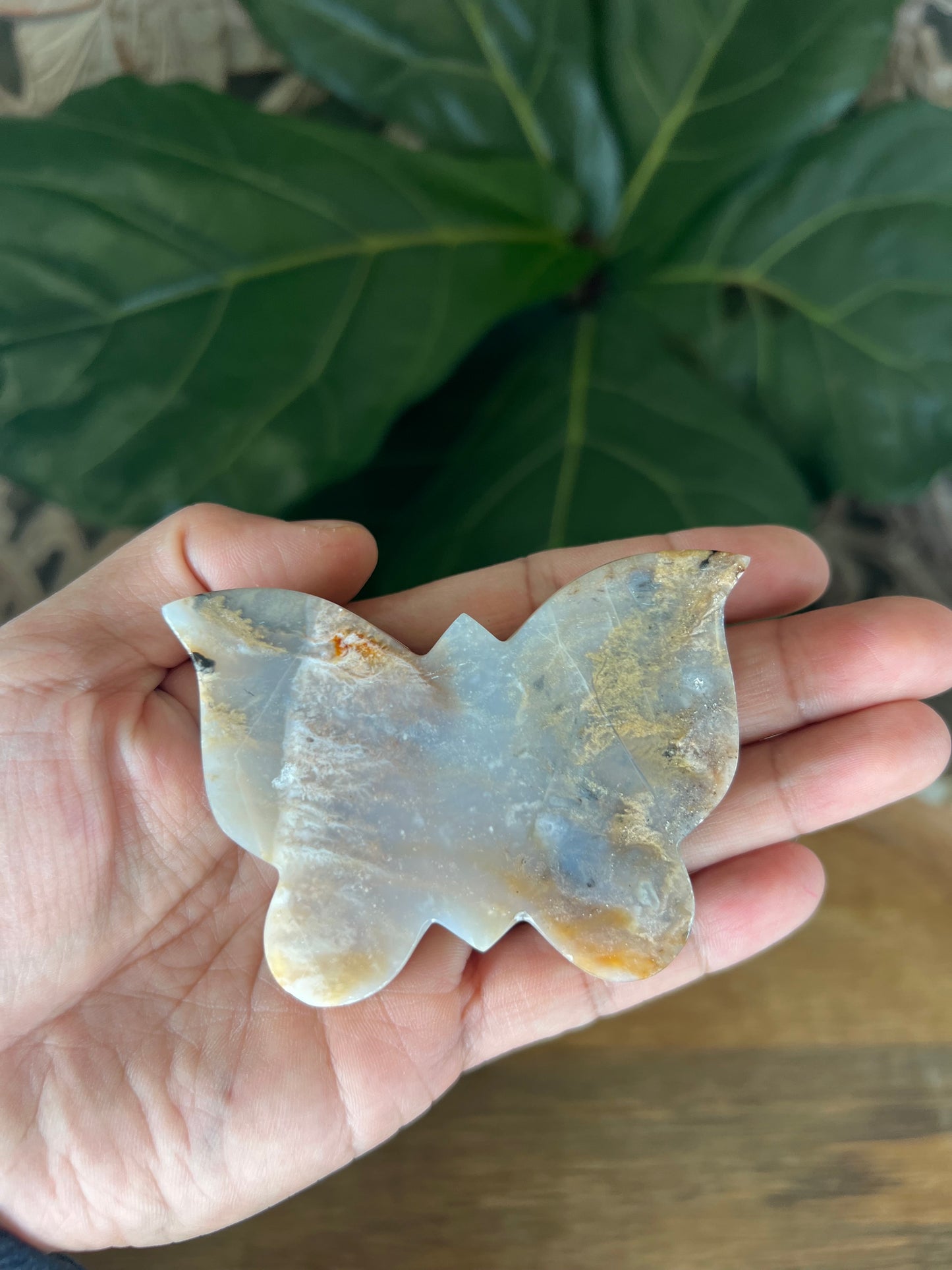 Dendritic Tiger Agate Butterfly