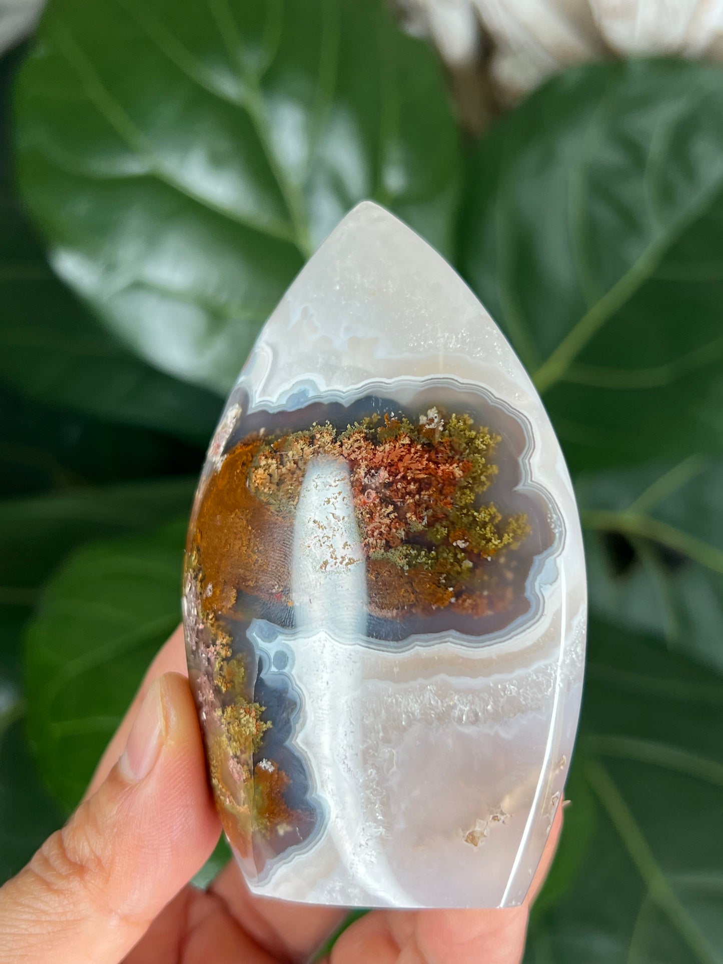 Scenic Moss Agate Flame