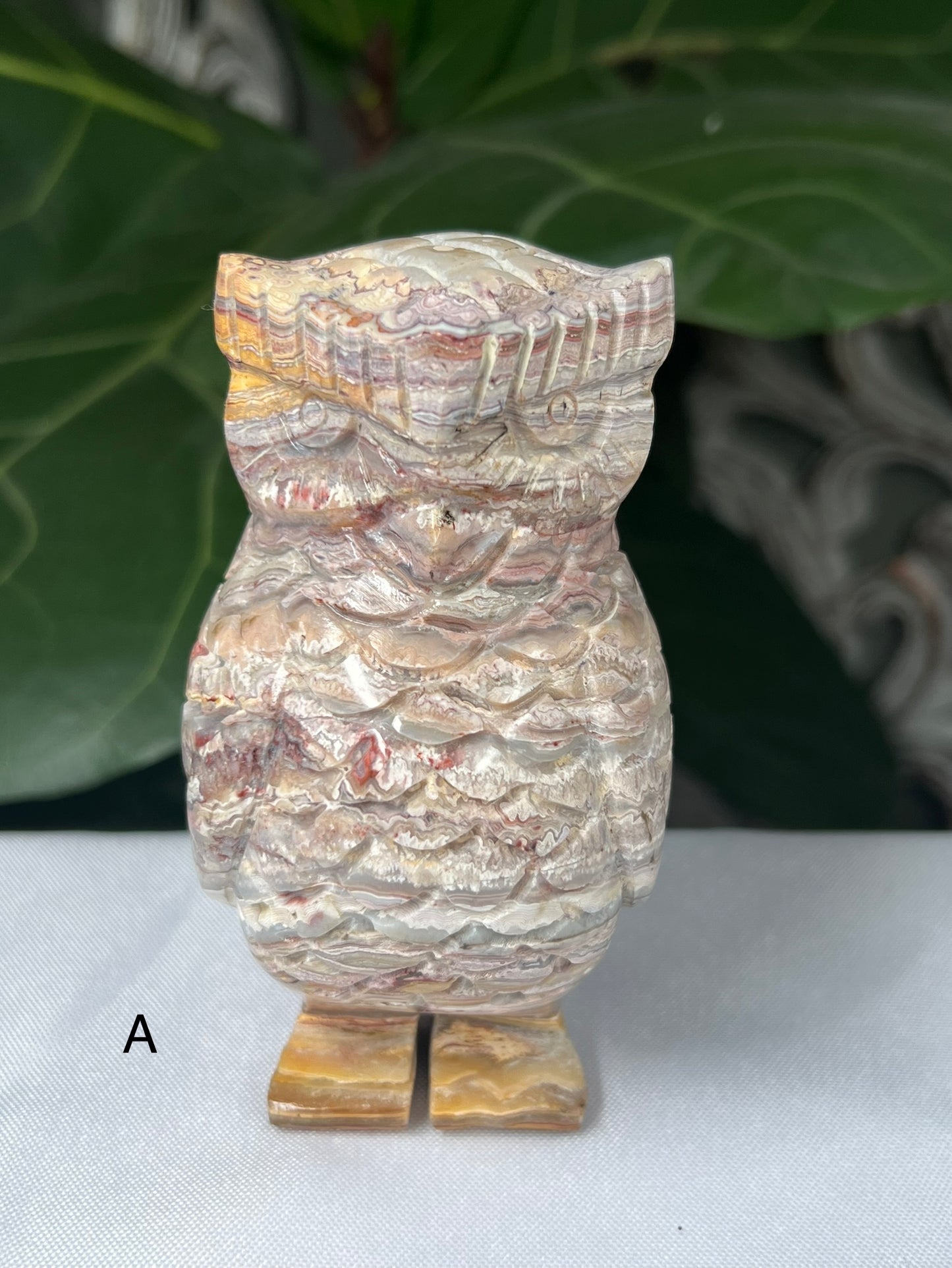 Crazy Lace Agate Owl