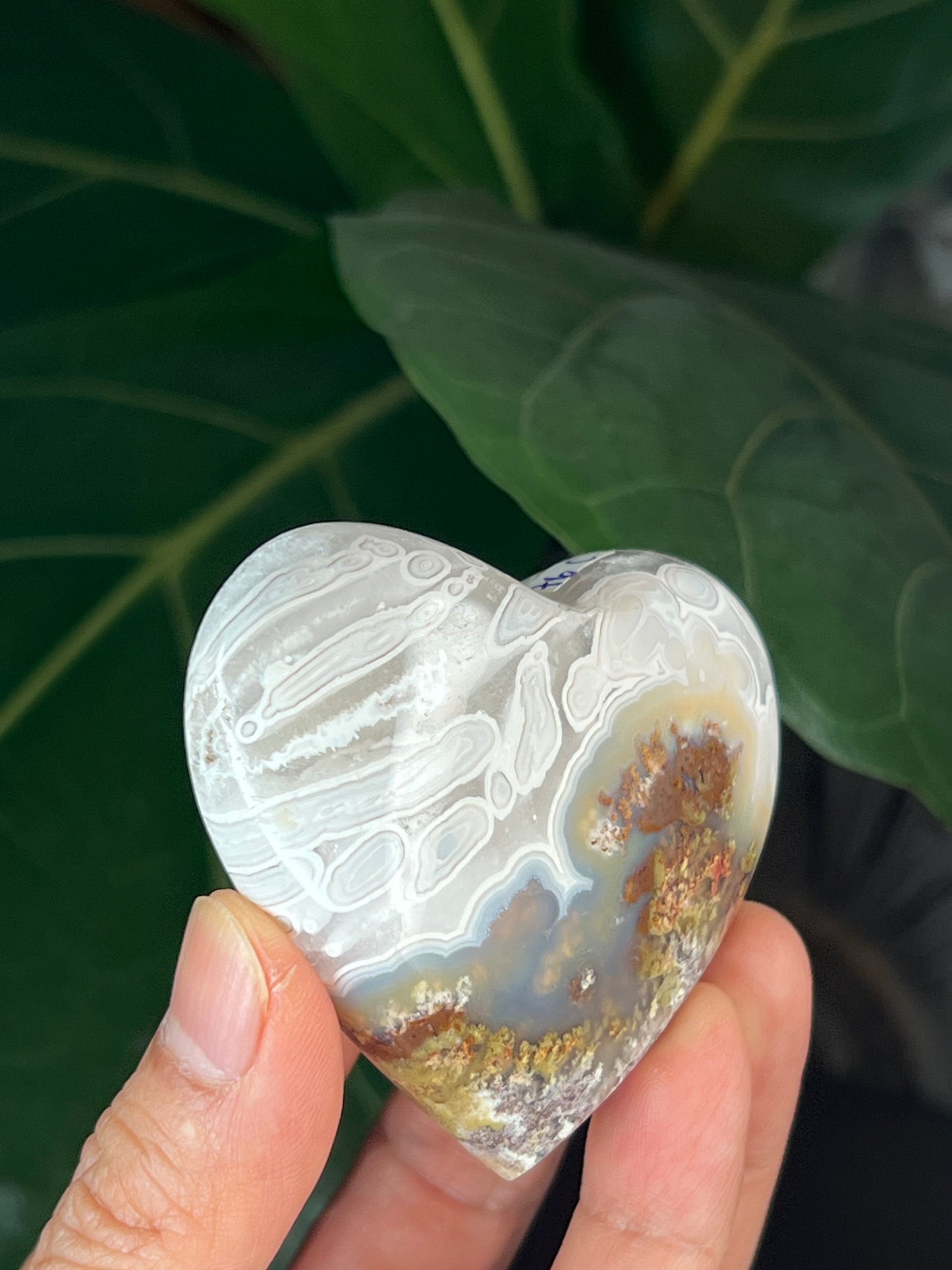 Scenic Moss Agate Heart