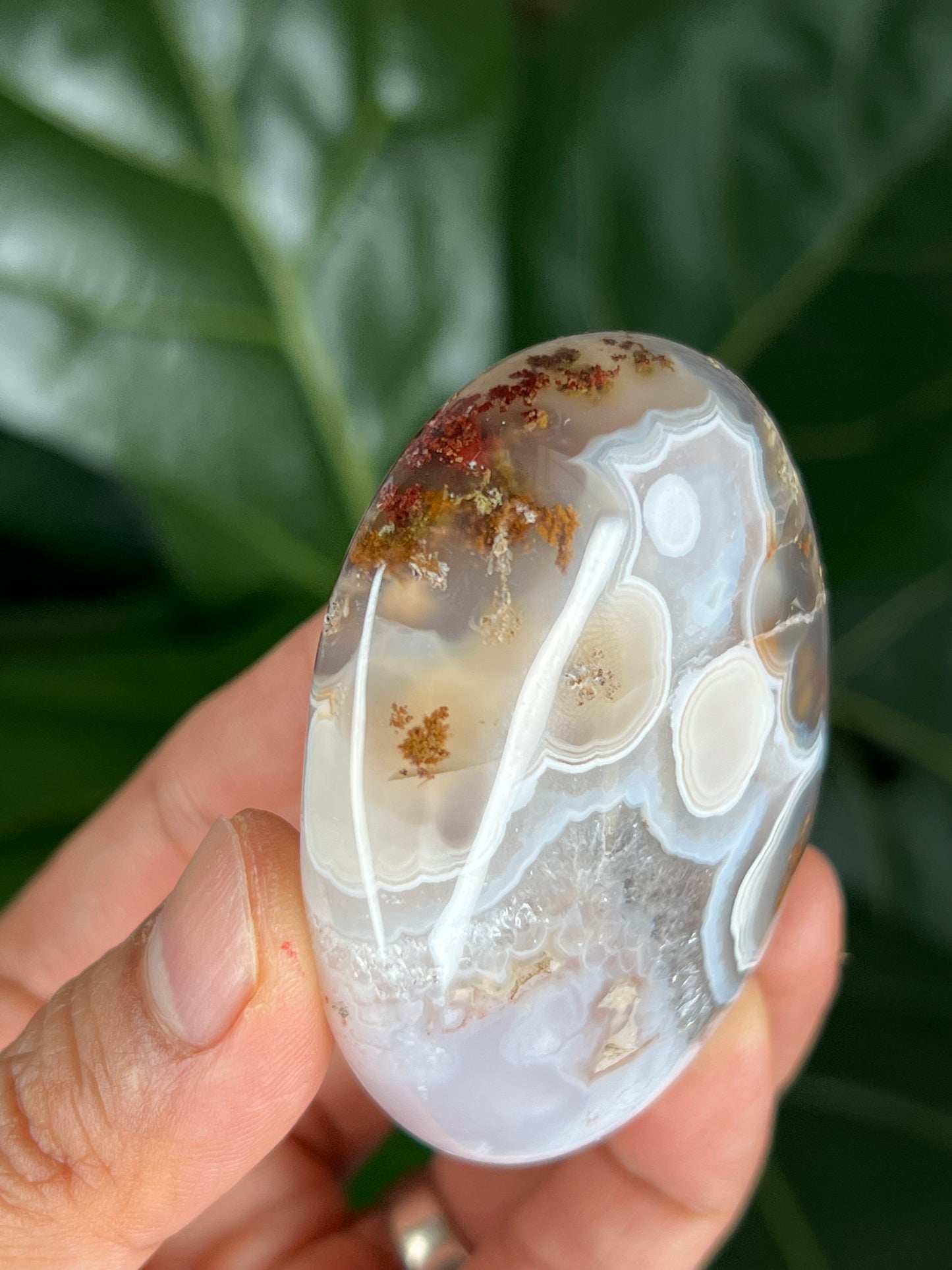 Scenic Moss Agate Palmstone