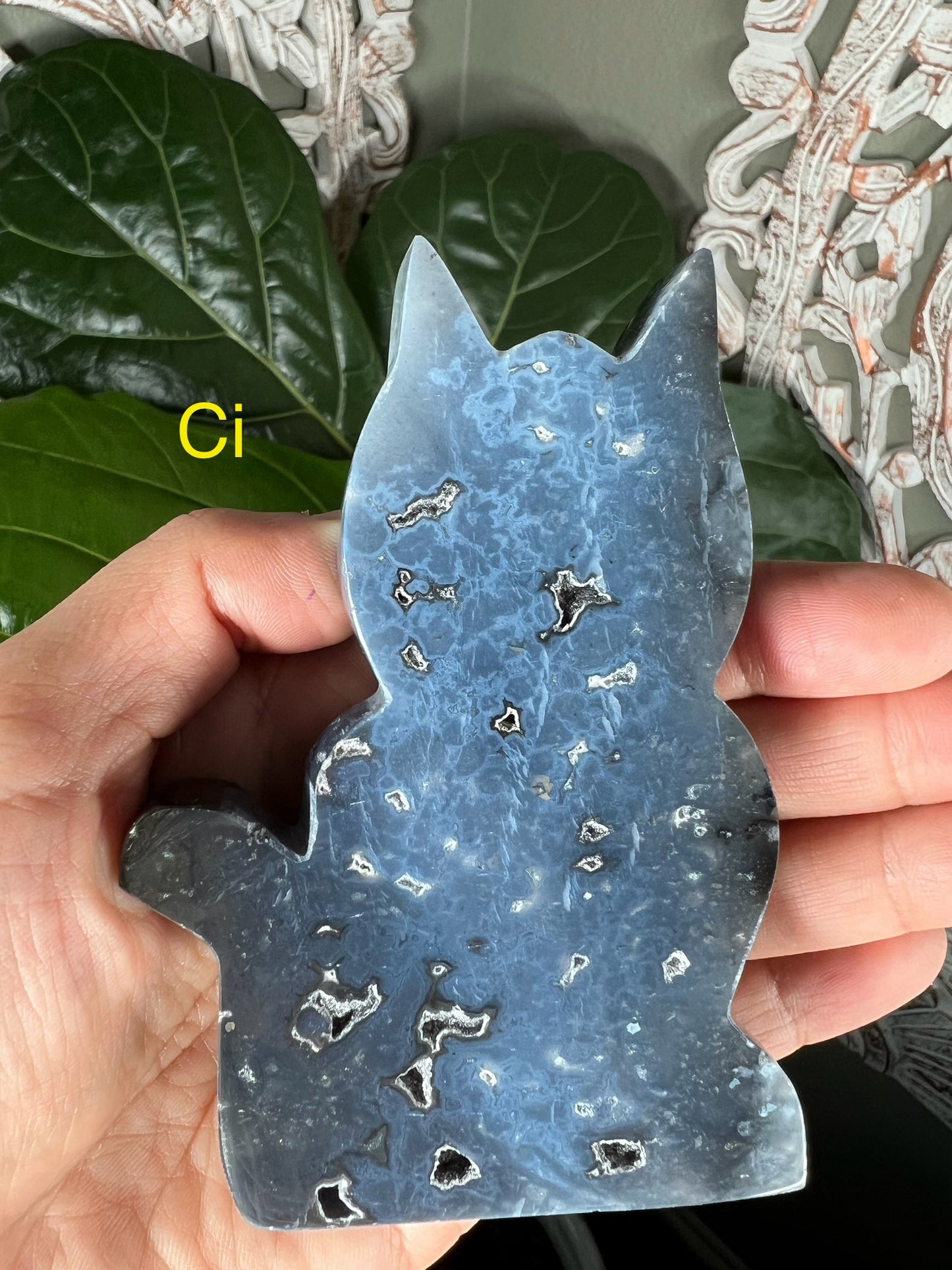 Blue Plume Agate Cat