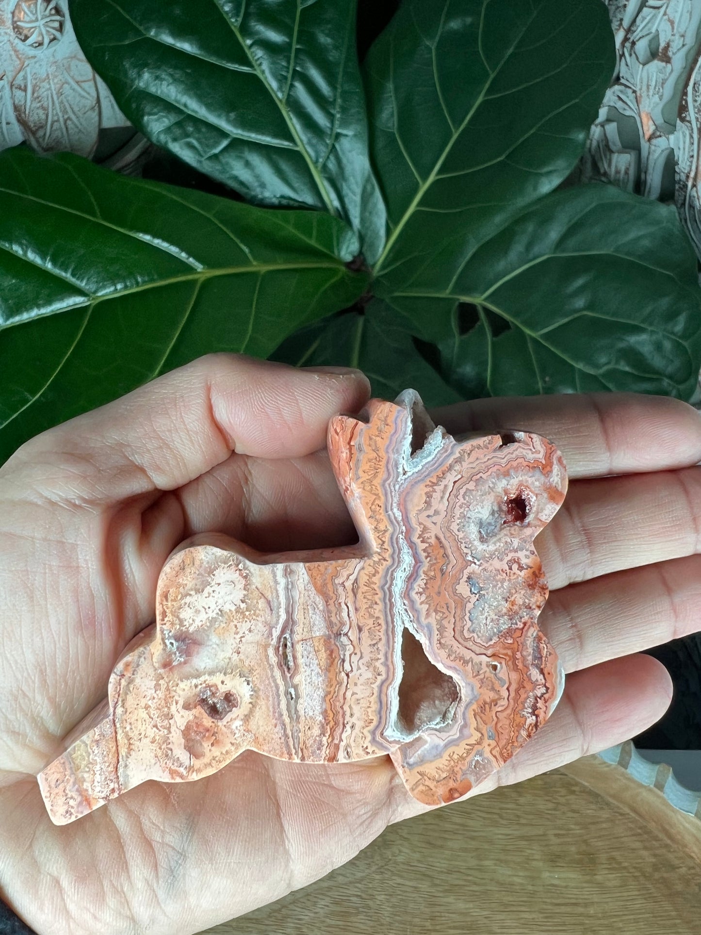 Crazy Lace Agate Deer