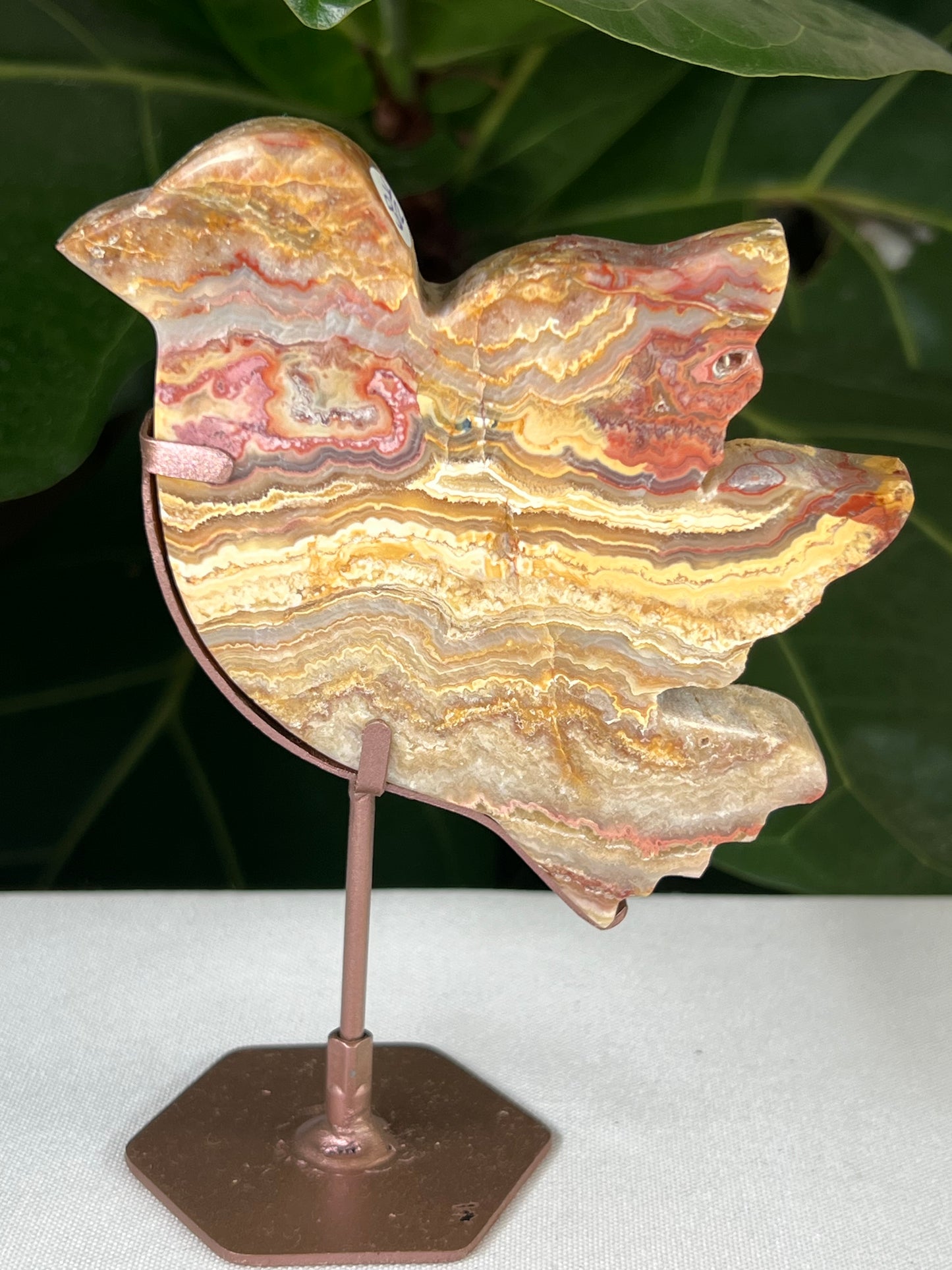 Crazy Lace Agate Bird