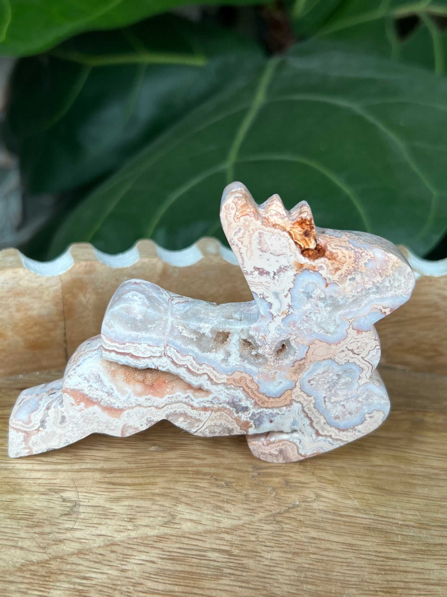 Crazy Lace Agate Deer