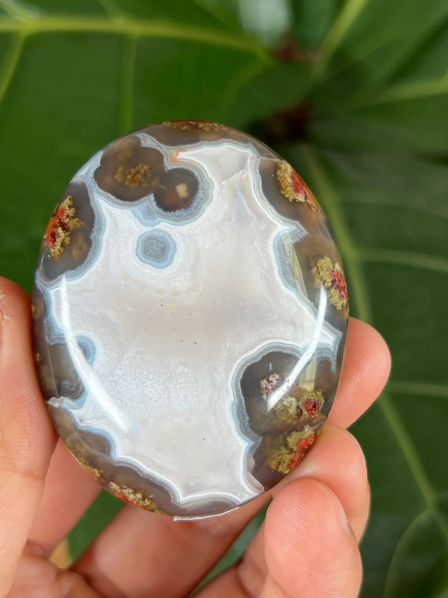 Scenic Moss Agate Palm Stone