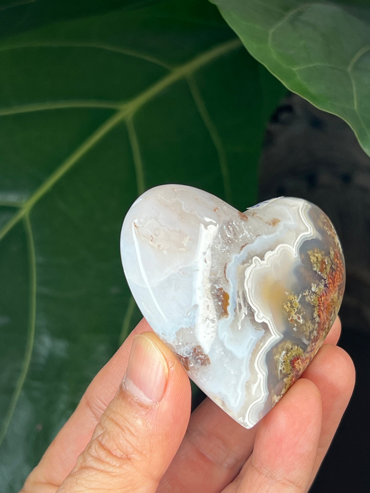 Scenic Moss Agate Heart