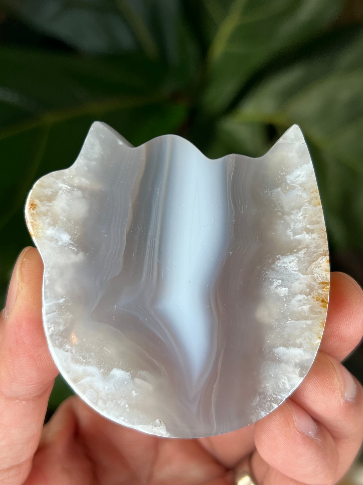 Blue Grey Lace Agate Cat