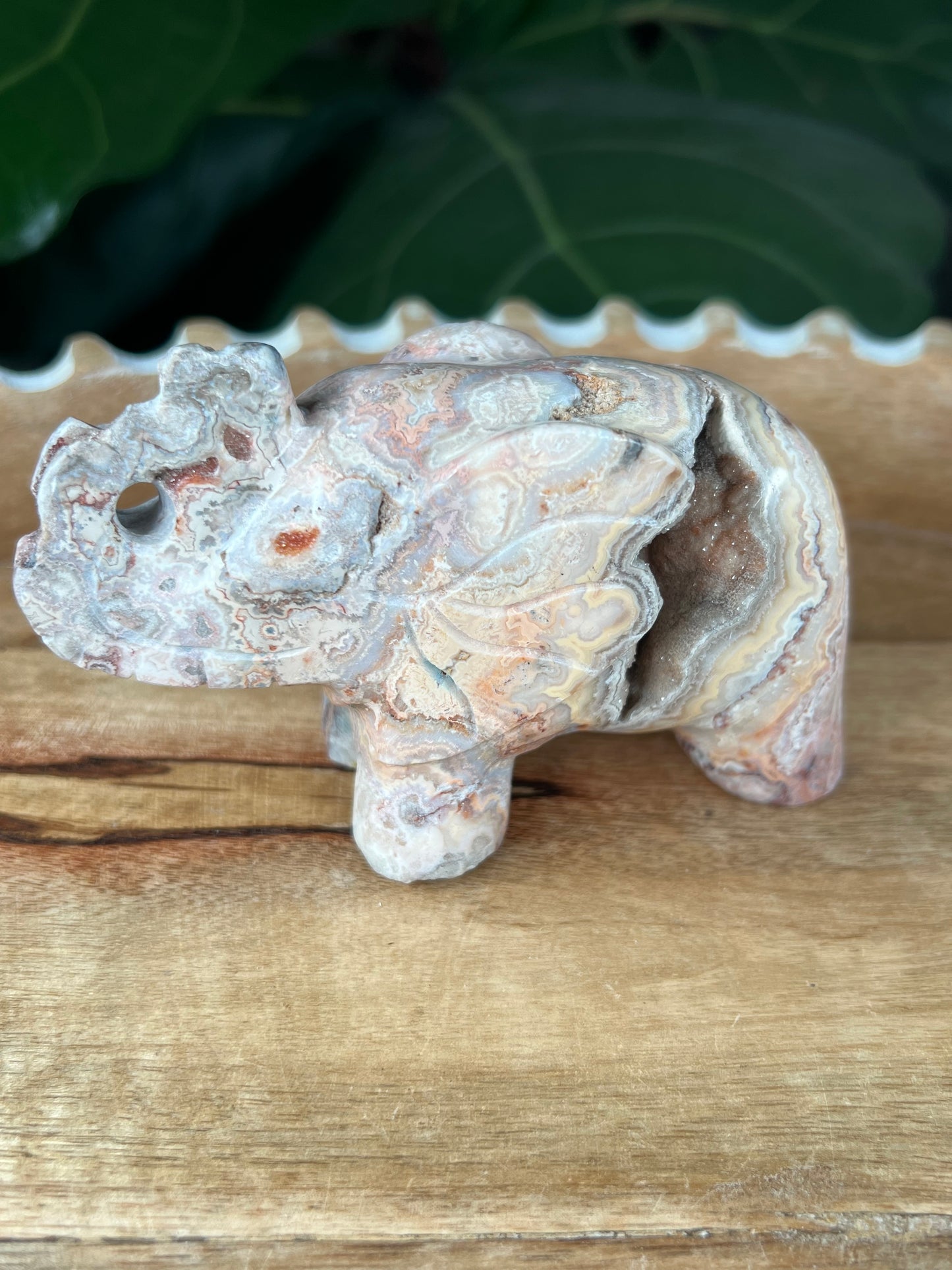 Crazy Lace Agate Elephant