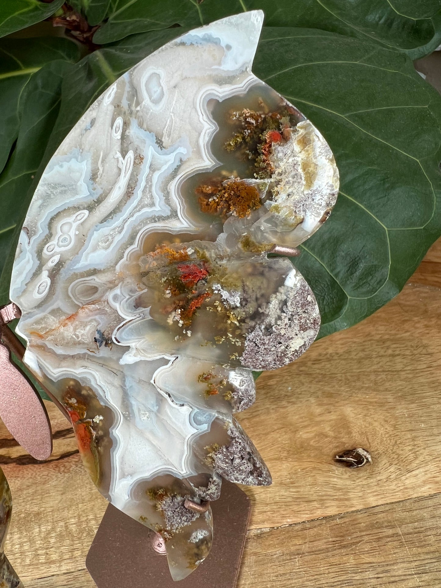 Scenic moss agate wings