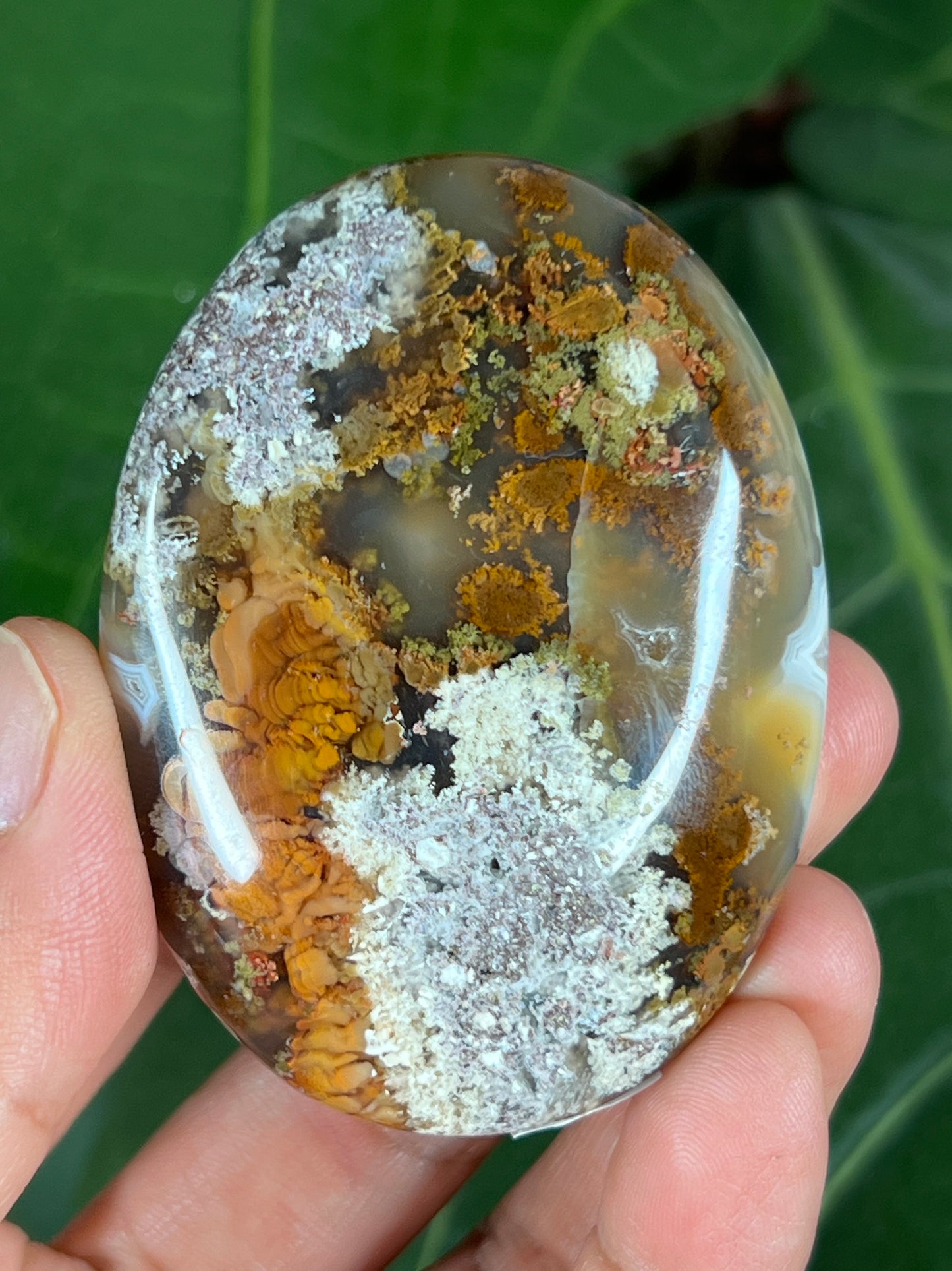 Scenic moss agate palm stone