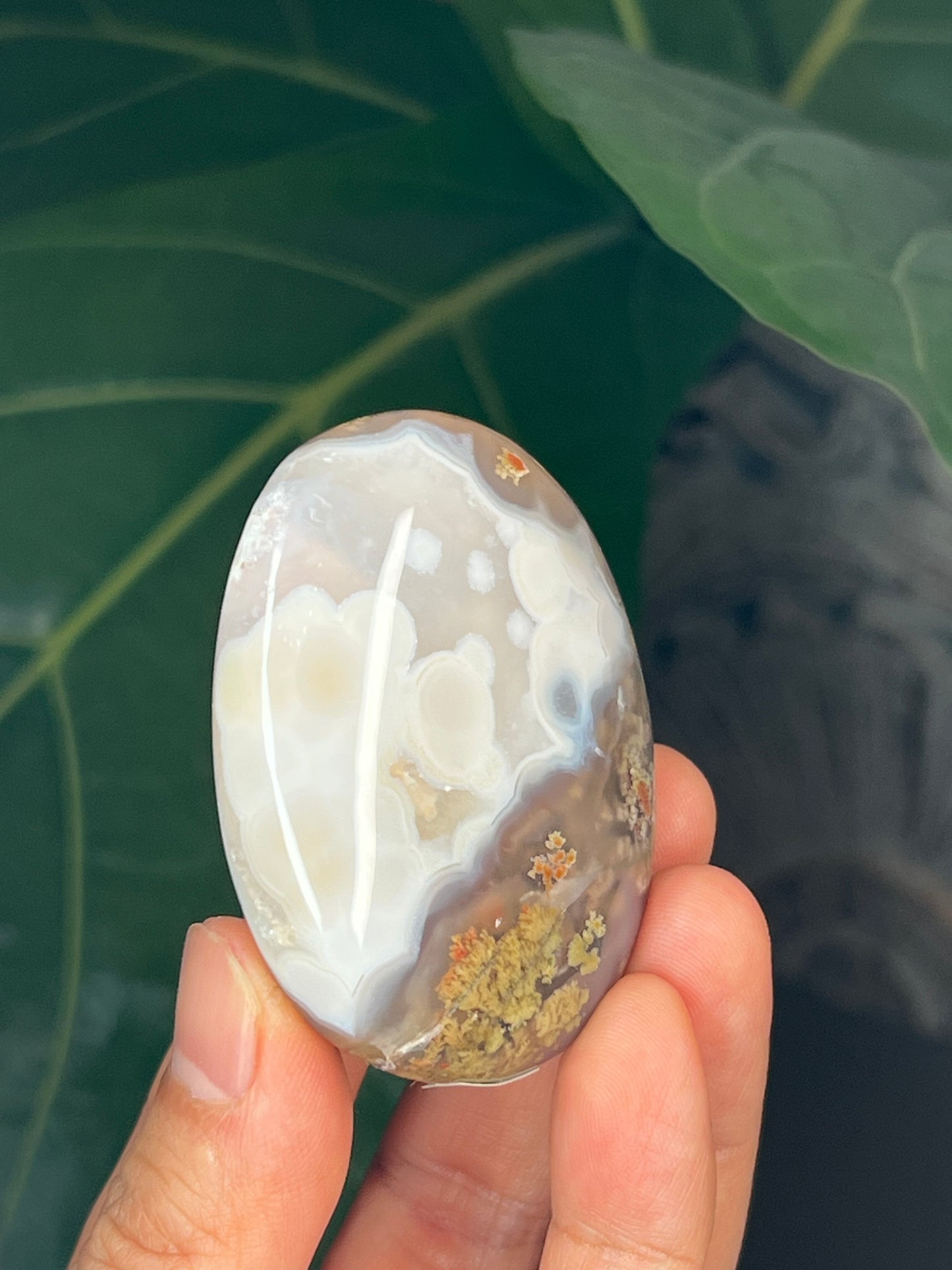 Scenic Moss Agate Palmstone