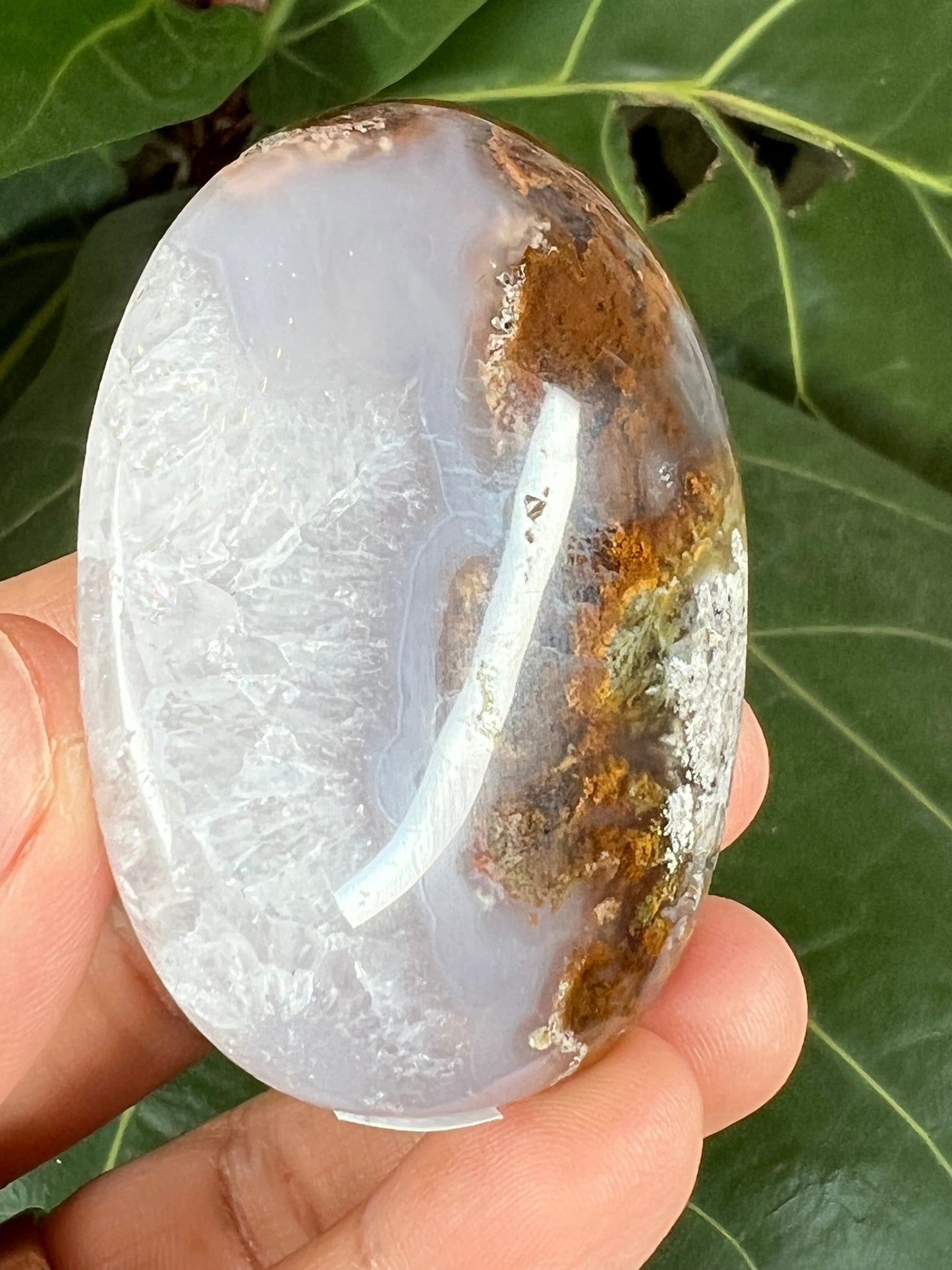 Scenic Moss Agate Palm Stone