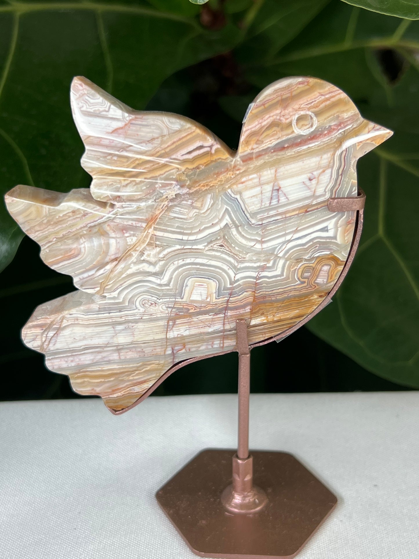 Crazy Lace Agate Bird