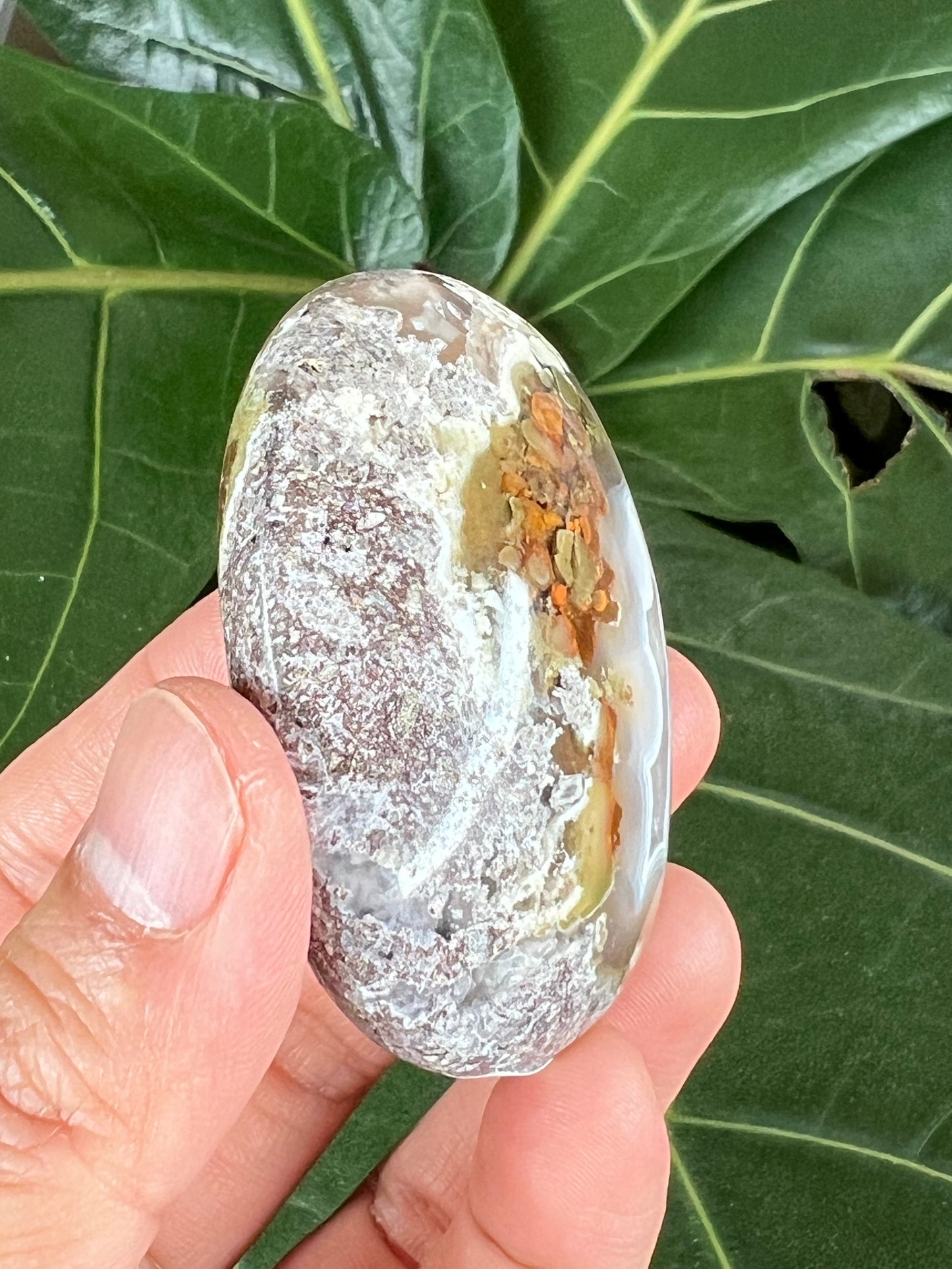 Scenic Moss Agate Palm Stone