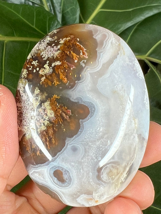 Scenic Moss Agate Palm Stone