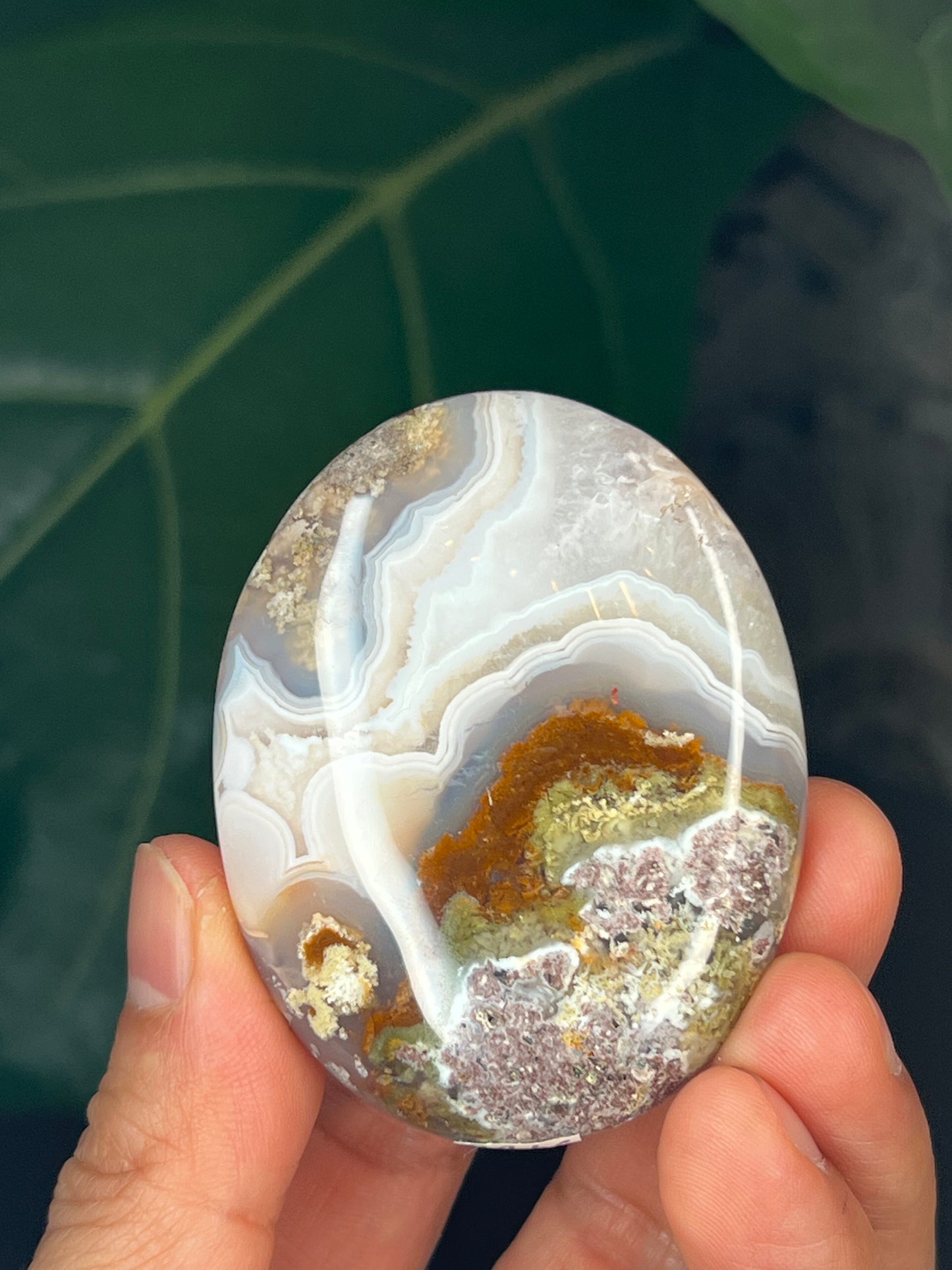 Scenic Moss Agate Palmstone