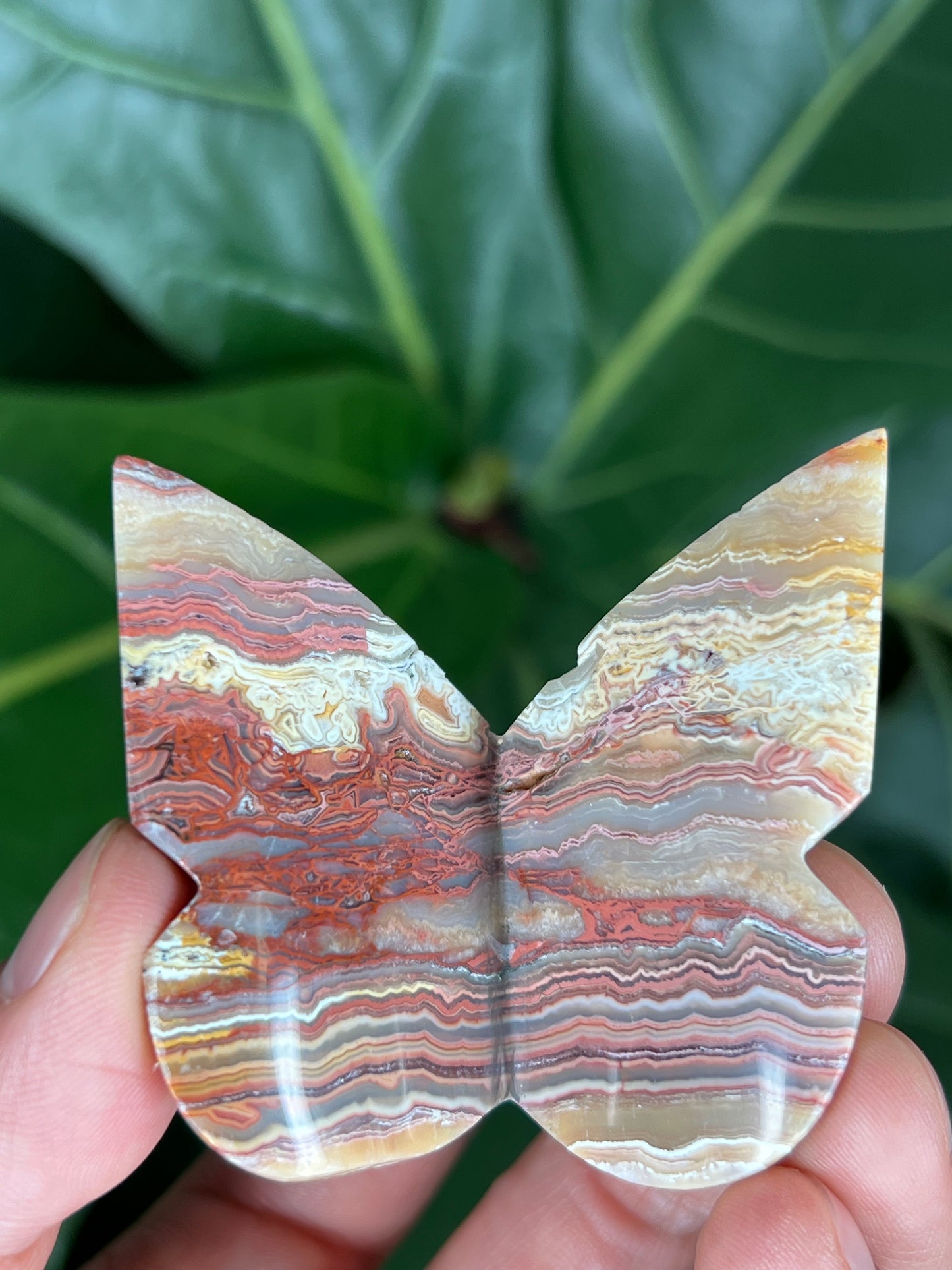 3D Butterfly Crazy Lace Agate